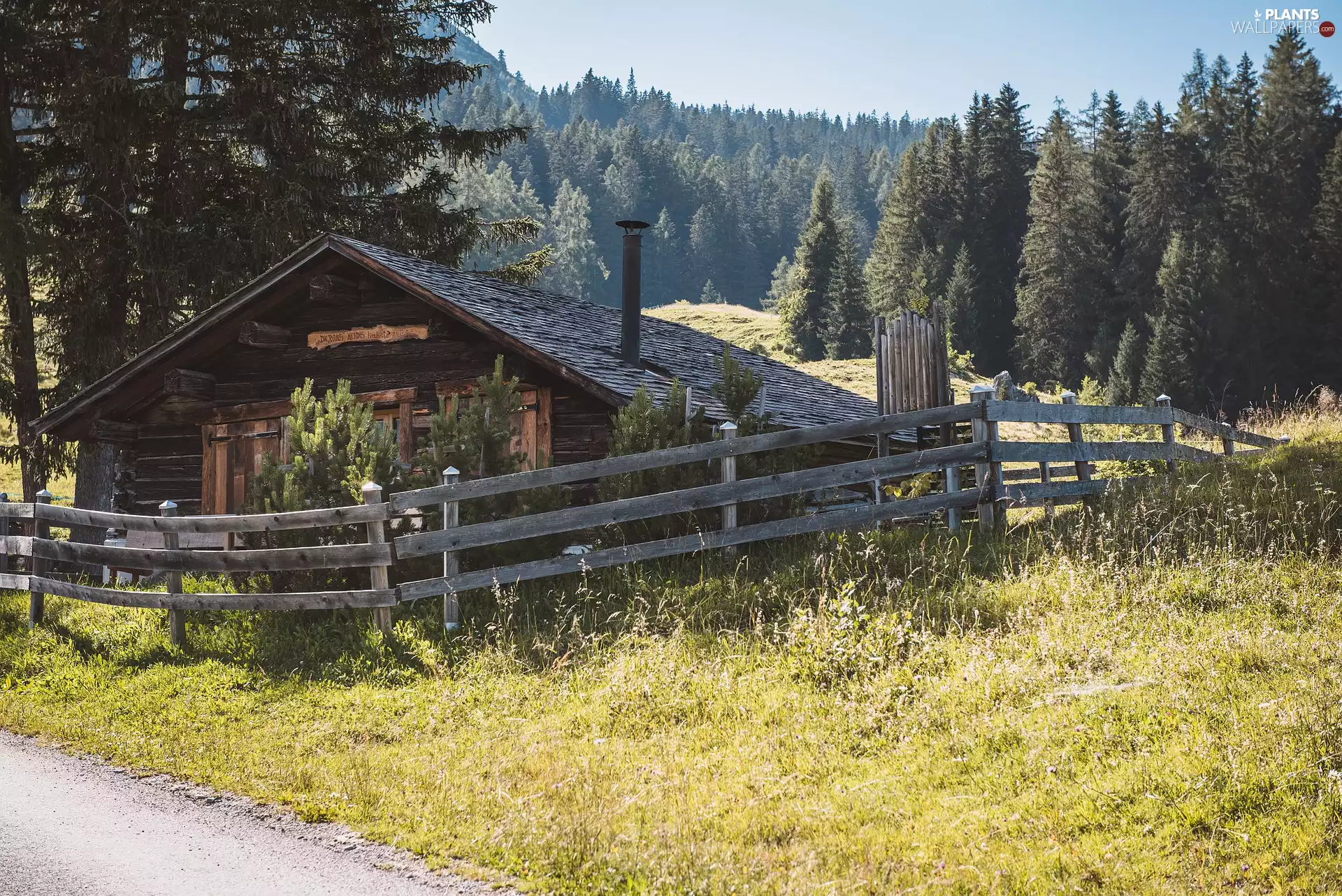 trees, Wooden, Way, fence, viewes, cottage