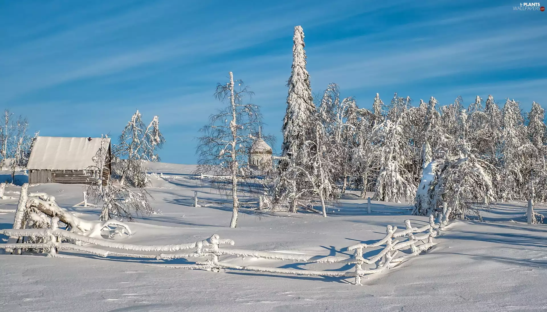 viewes, fence, house, trees, winter