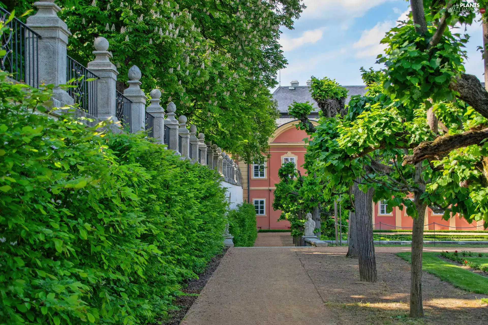 trees, house, chestnut, fence, viewes, Park