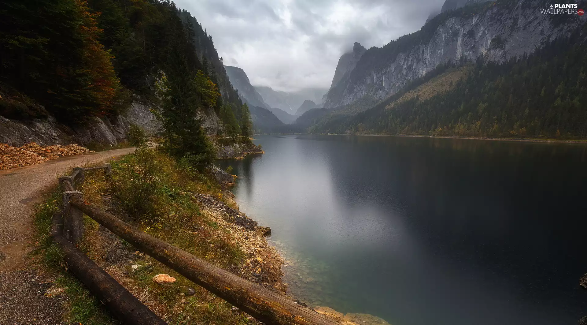 Way, Mountains, viewes, fence, trees, River