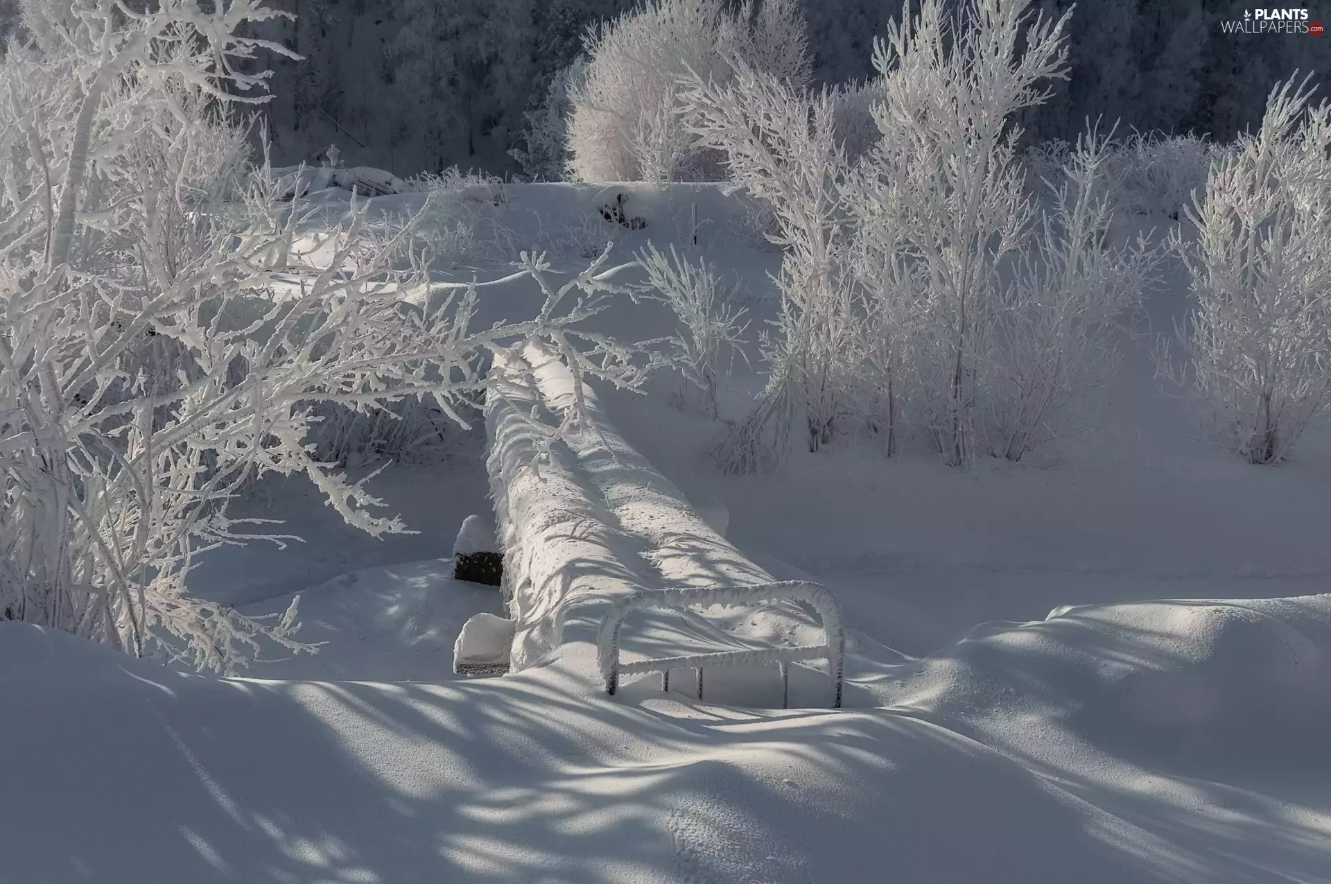 snowy, winter, viewes, fence, trees, snow