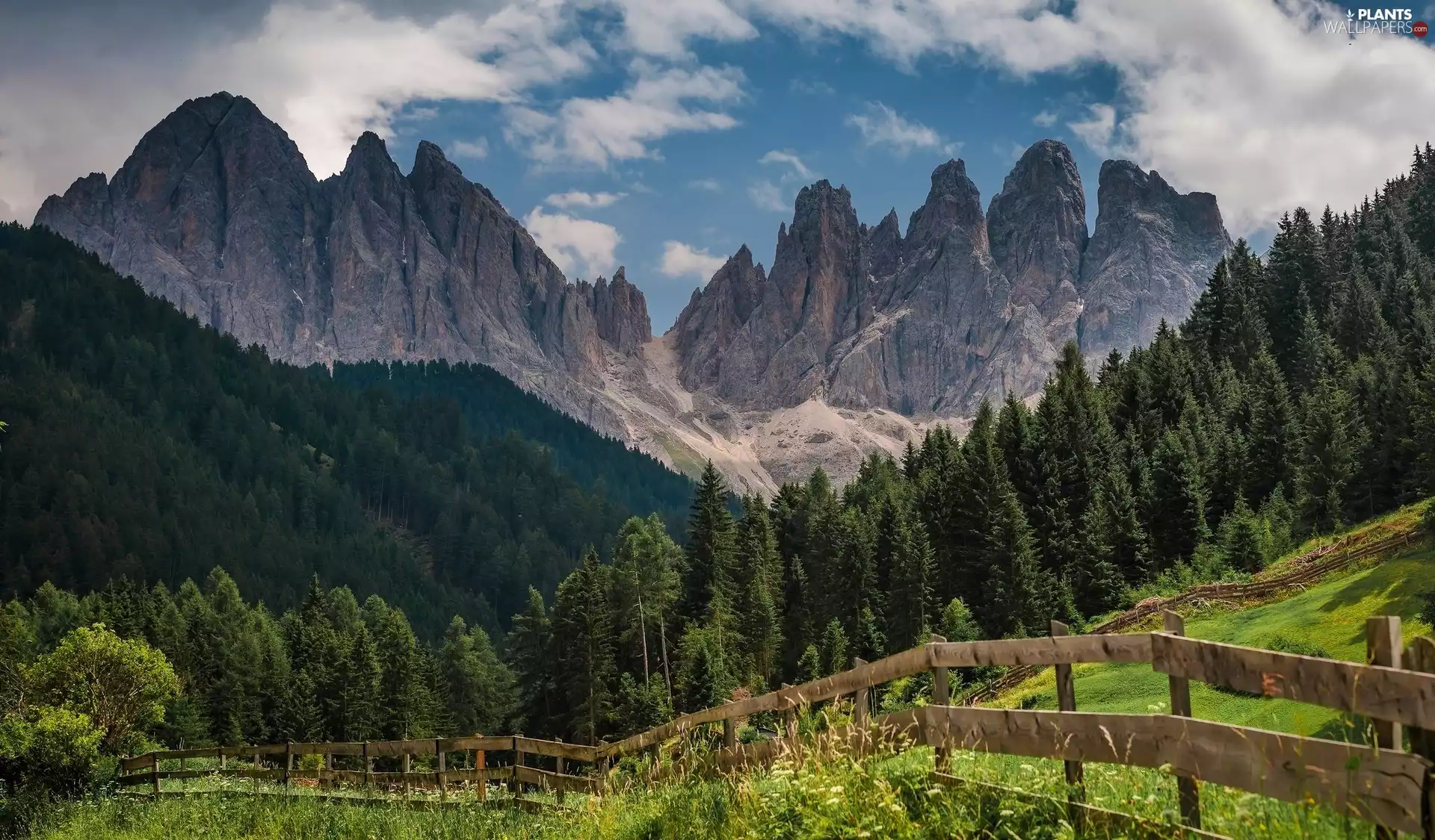forest, South Tyrol, Massif Odle, viewes, Mountains, Italy, Dolomites, fence, trees, Meadow