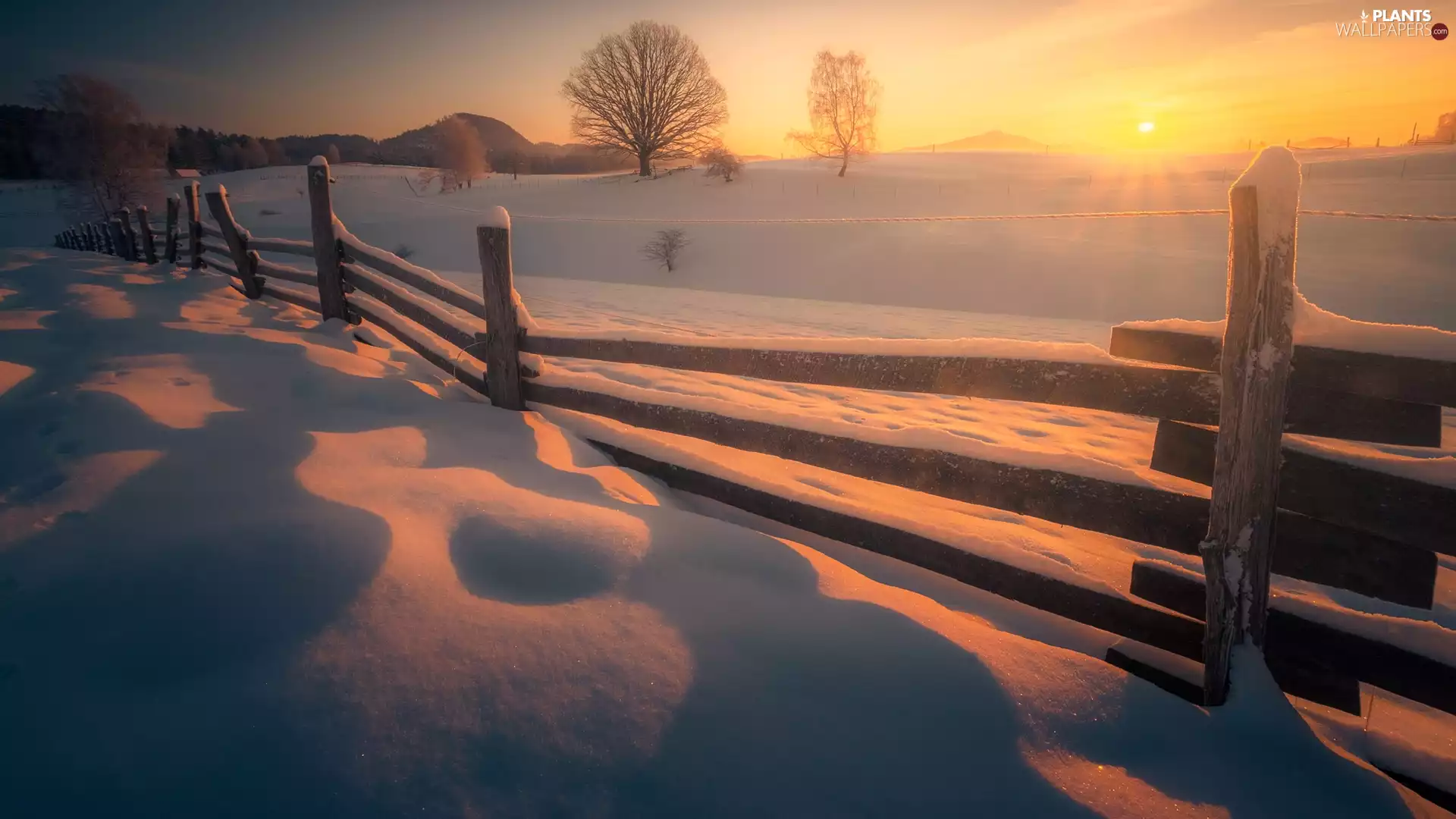 Field, Sunrise, viewes, fence, trees, winter