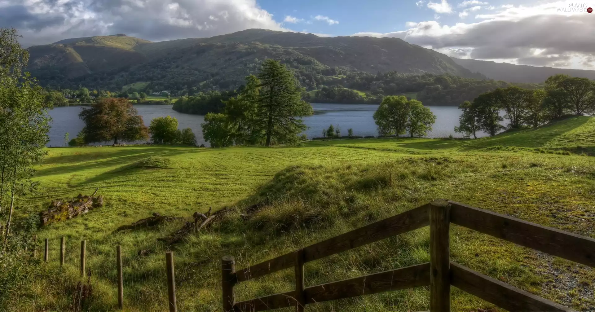 trees, River, wood, The Hills, Meadow, viewes, fence