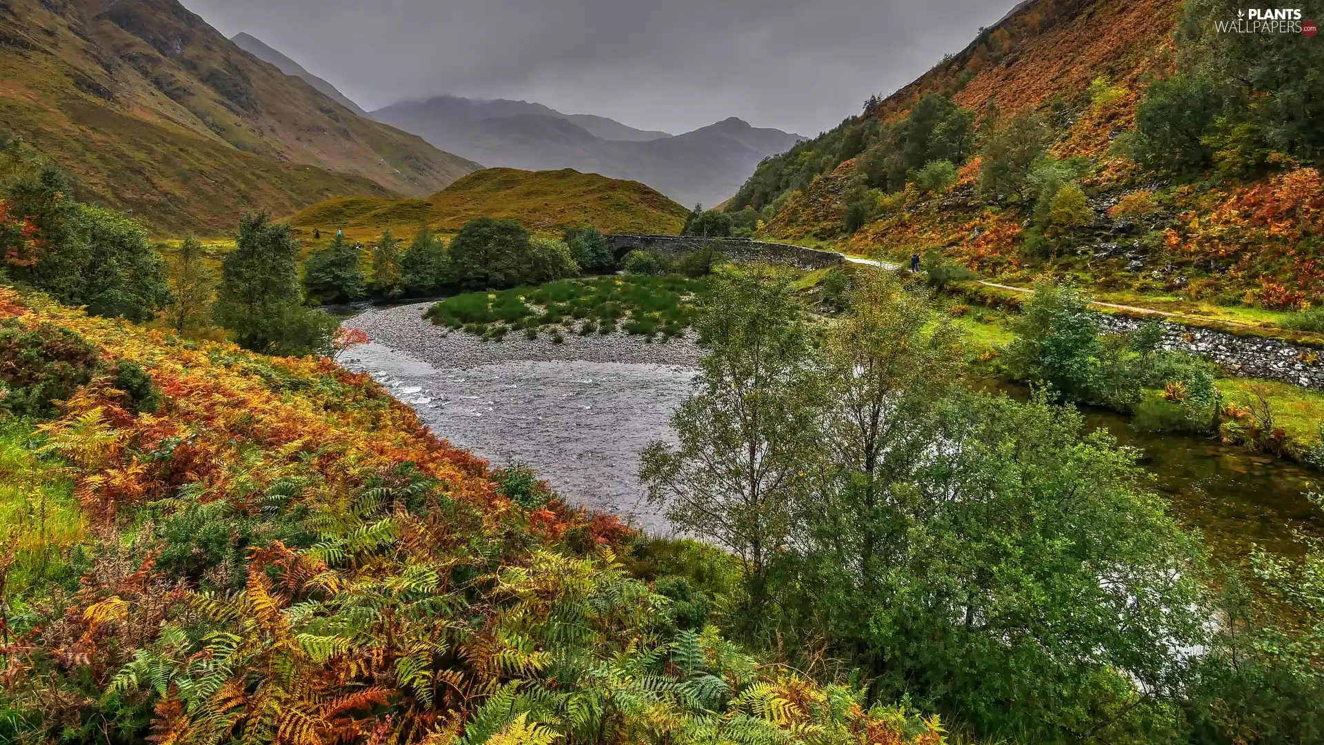 bridges, Mountains, viewes, fern, trees, River