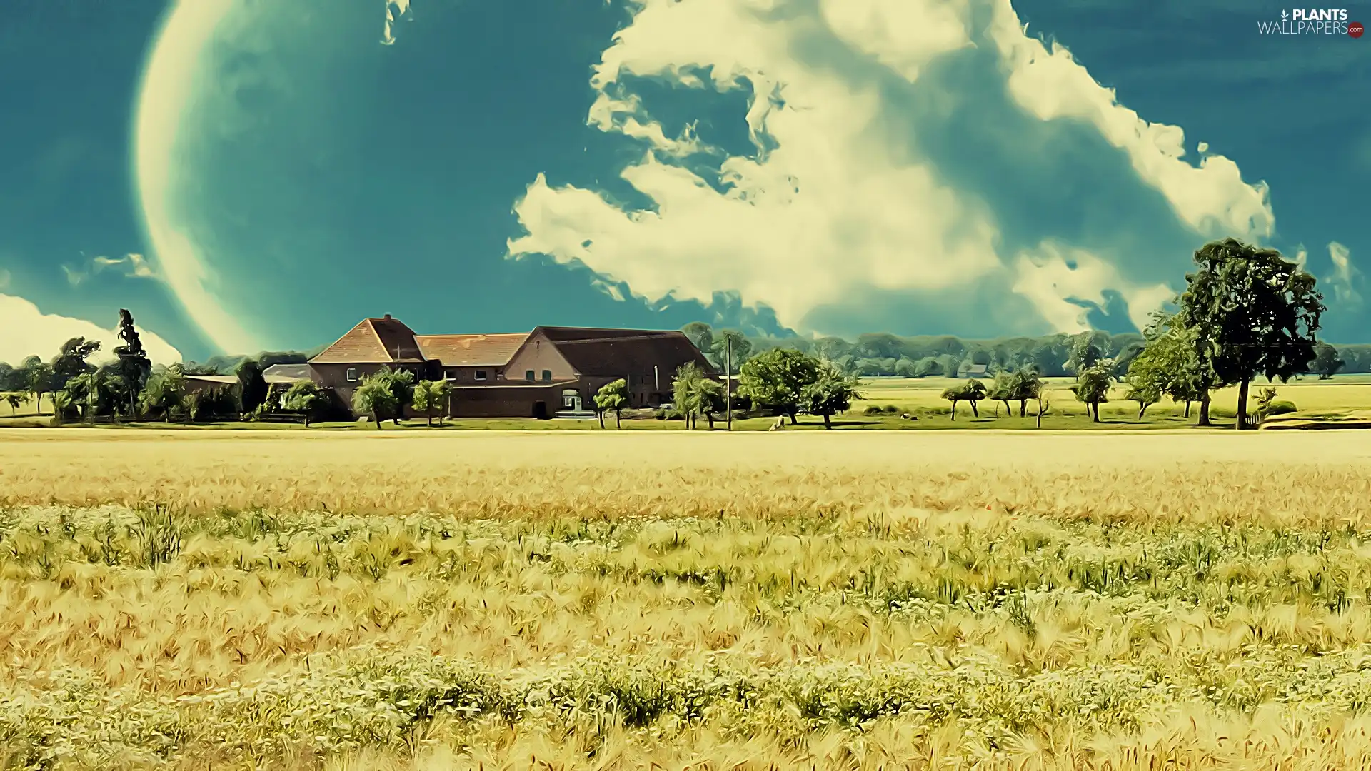viewes, house, field, clouds, farm, trees