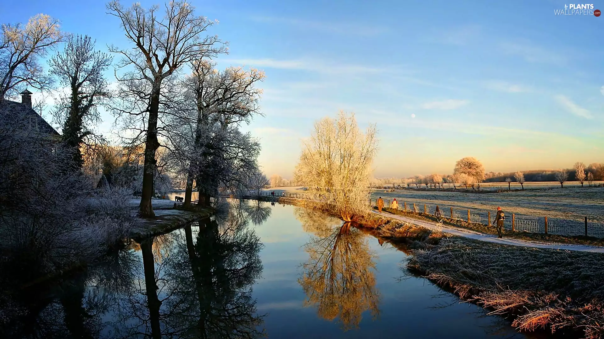 sun, ligh, flash, Way, River, luminosity, Przebijające, house, reflection, field, viewes, trees