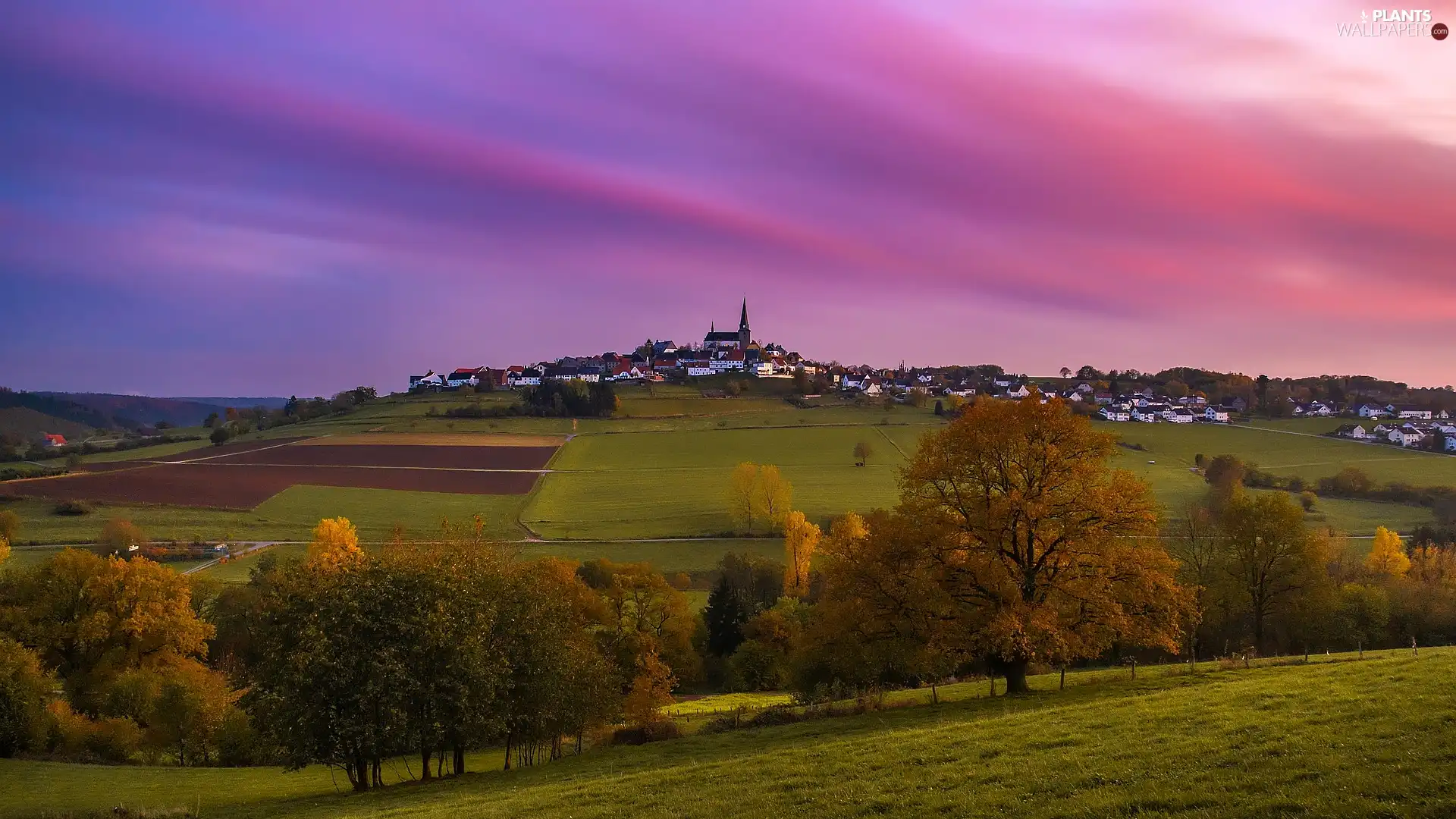 field, medows, Church, trees, buildings, country, Great Sunsets, viewes