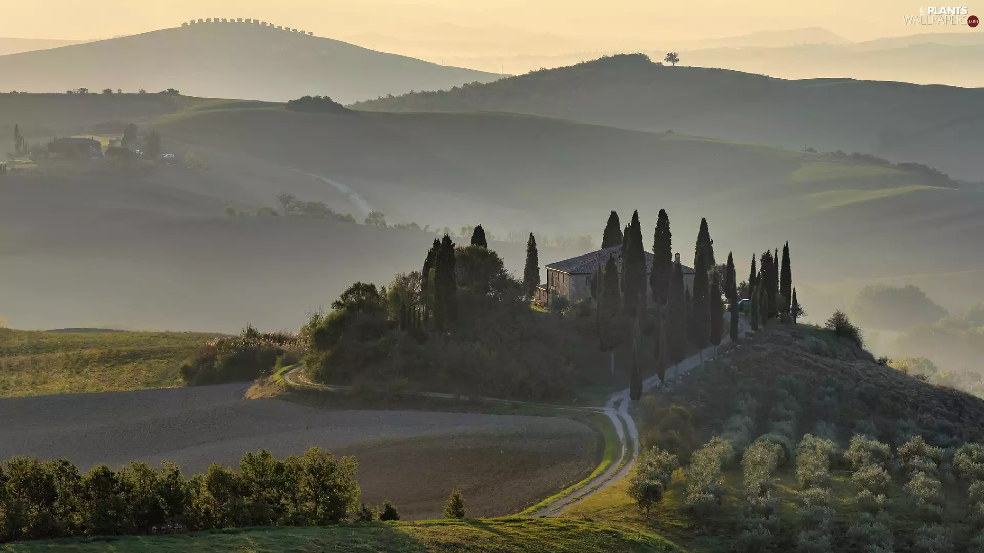 trees, viewes, Italy, cypresses, Tuscany, house, Hill, field