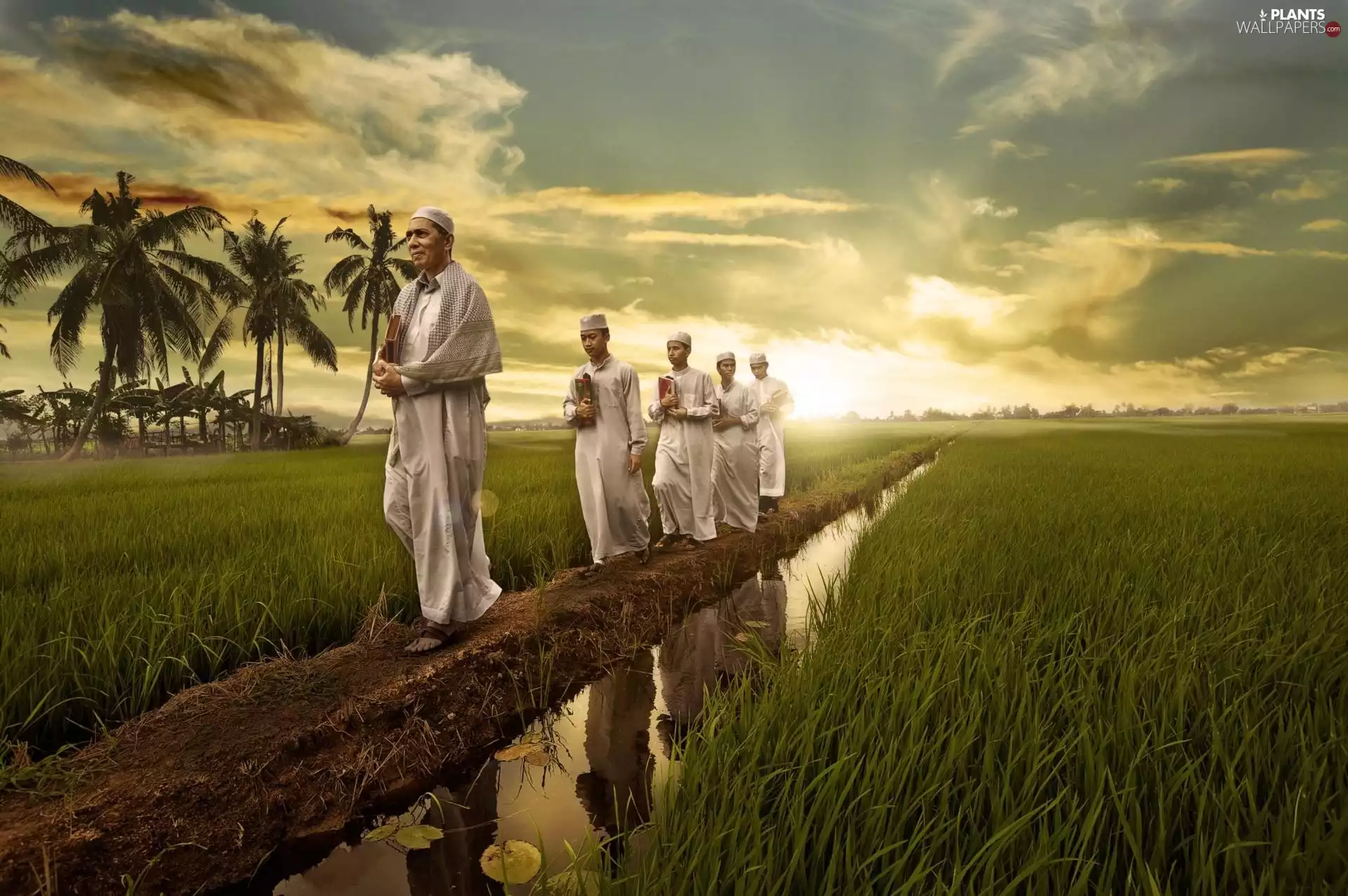 men, Palms, clouds, Field