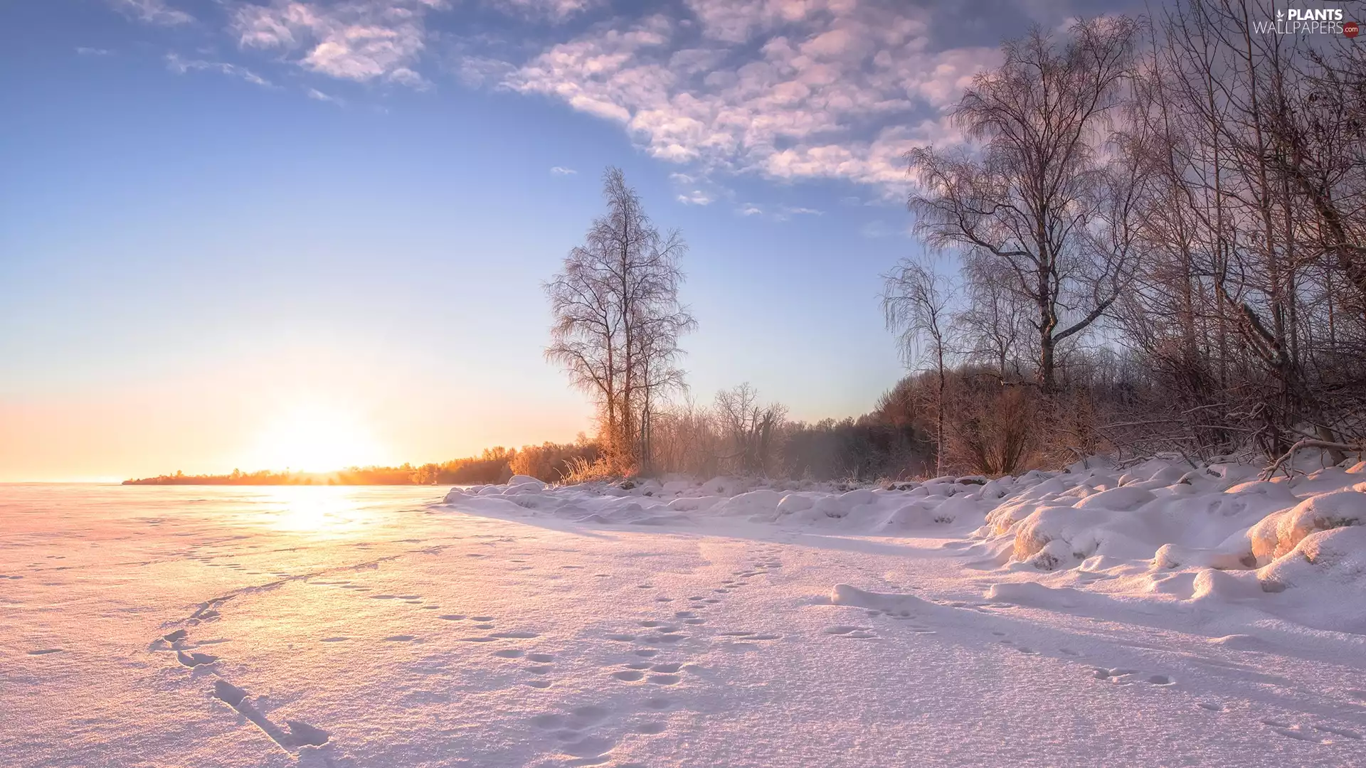 viewes, winter, clouds, Field, Sunrise, trees