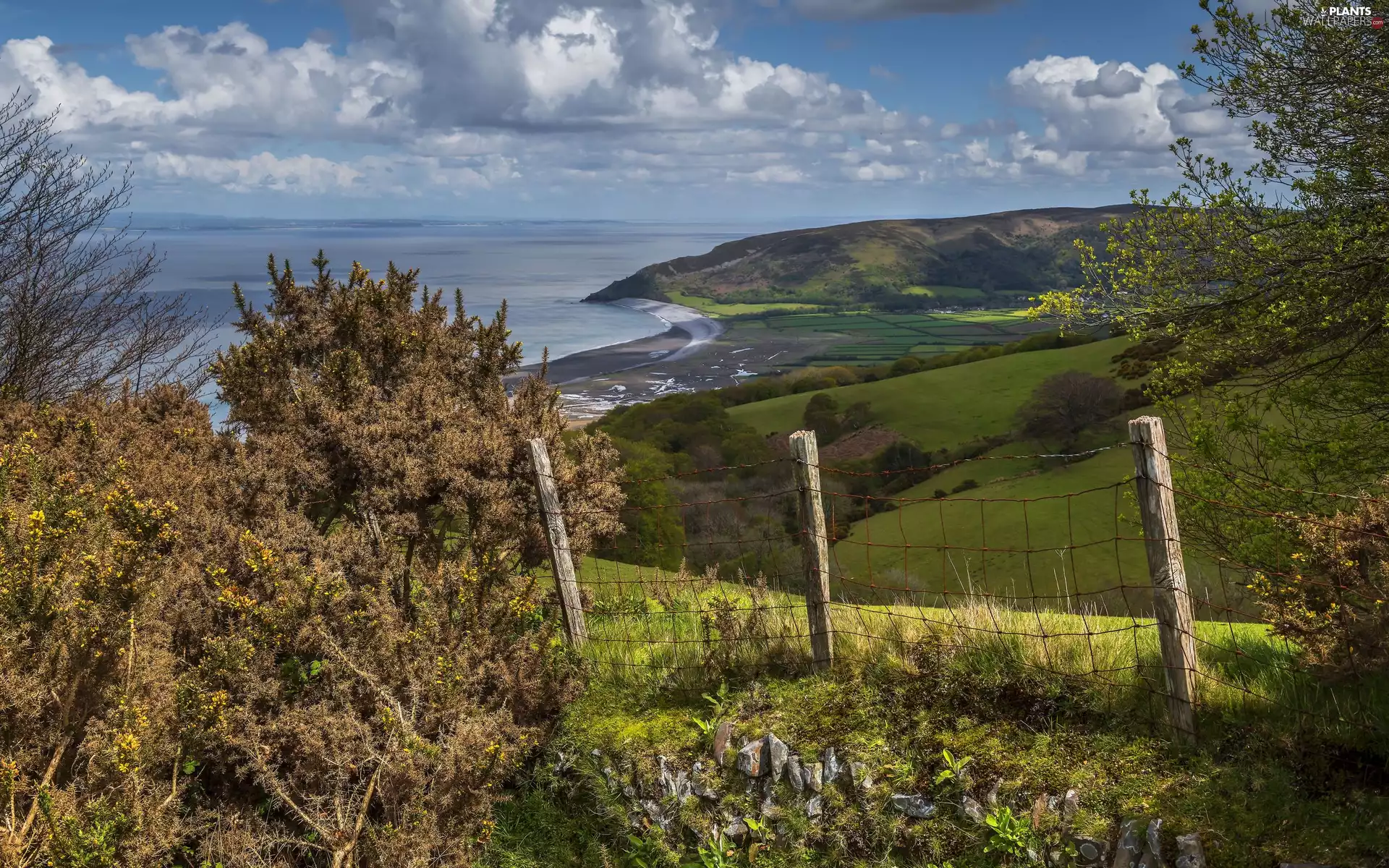 viewes, fence, Coast, field, sea, trees