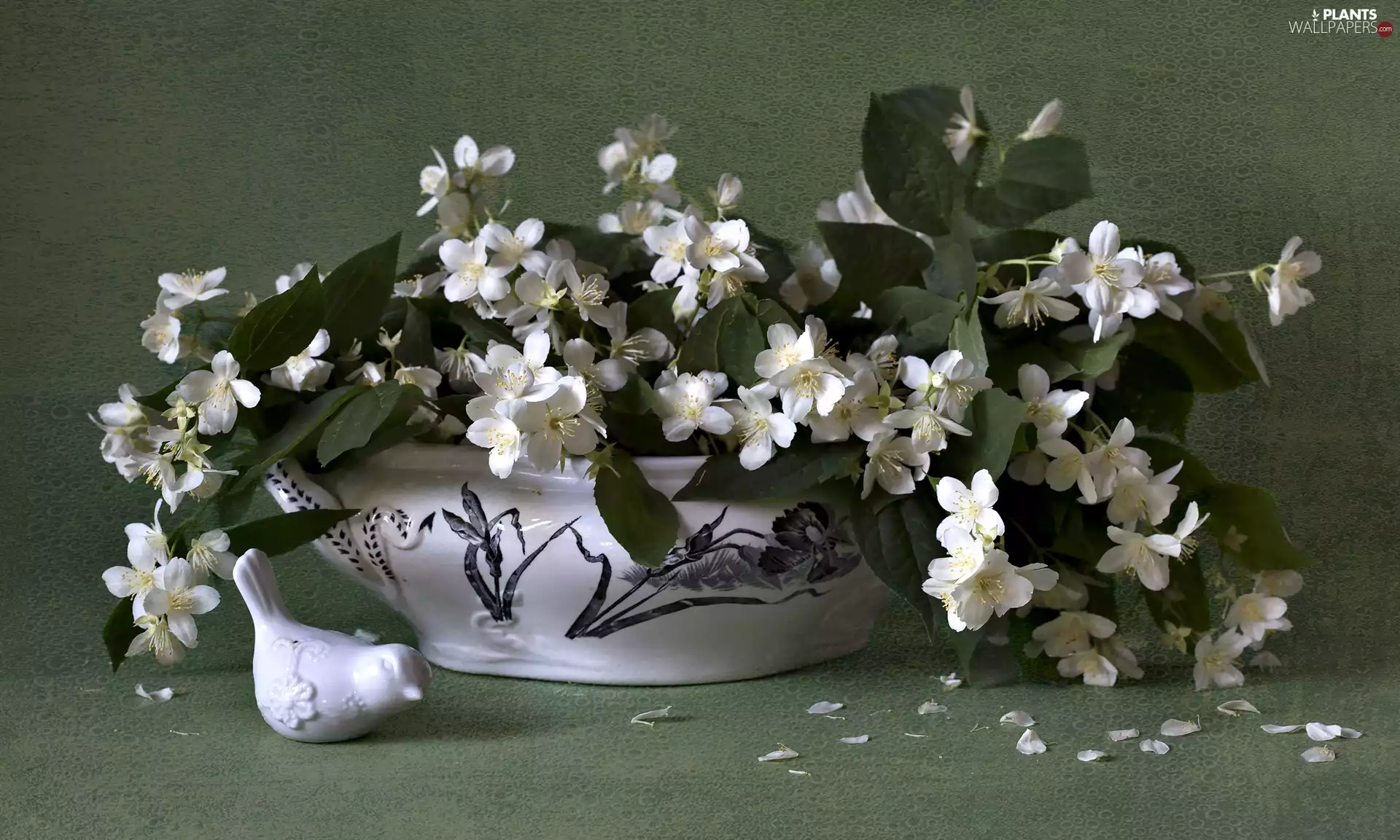 figure, bouquet, green ones, vase, Mock Orange, birdies, background