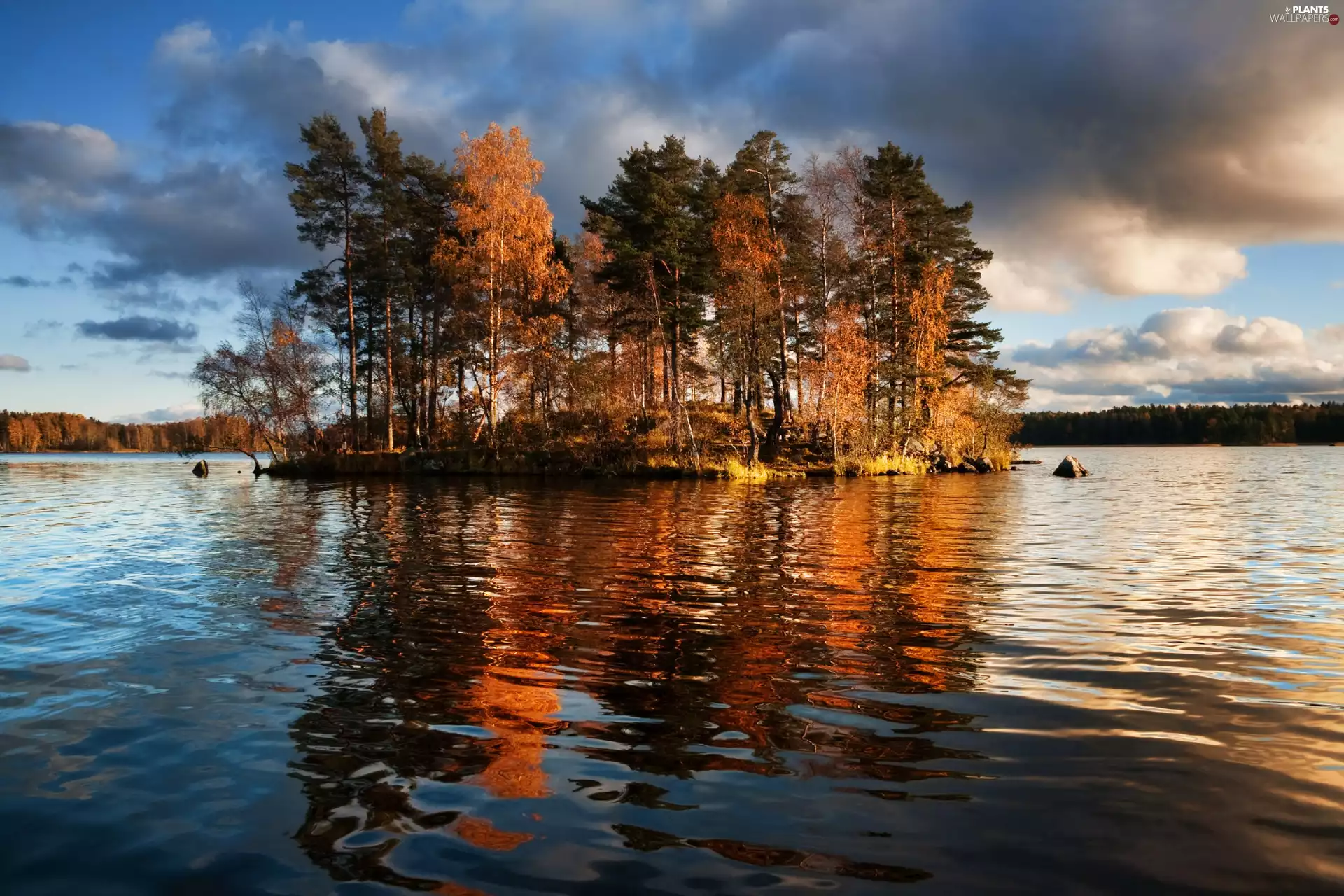 trees, lake, Vuoksa, Finland, viewes, Islet