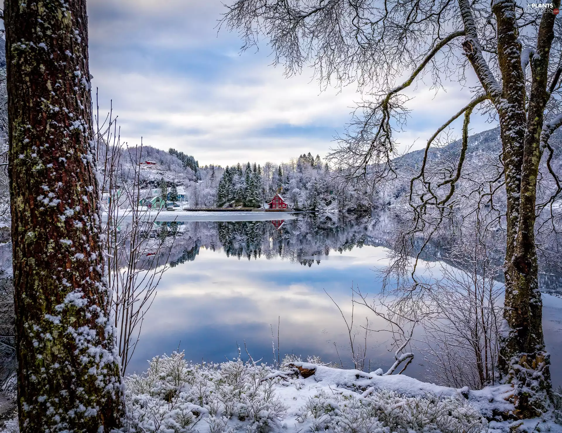District of Sogn og Fjordane, Norway, Fjaler Commune, Flekke Village, viewes, Houses, Dalsfjorden Fjord, trees, winter