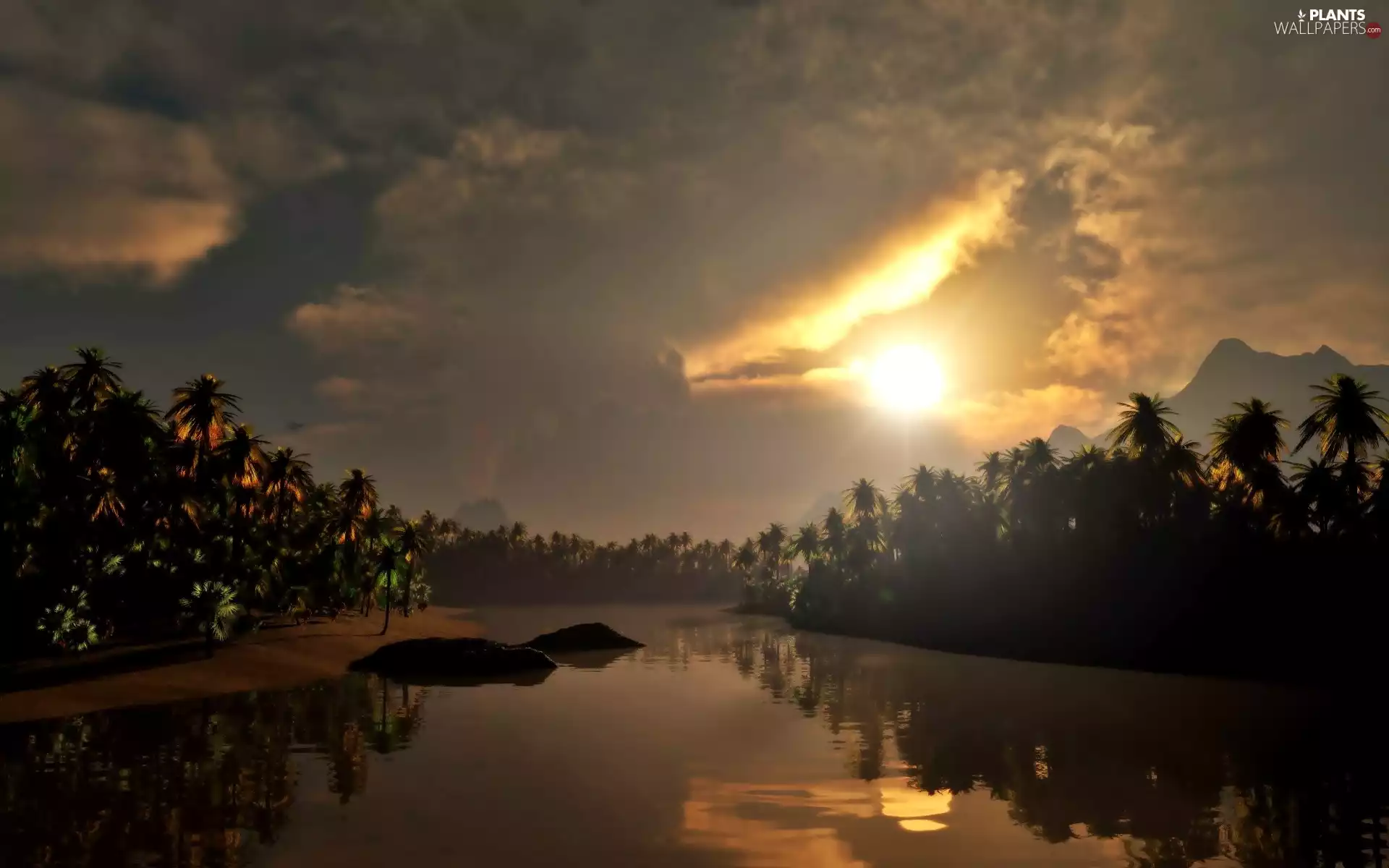 Przebijające, ligh, Palms, sun, luminosity, Fog, River, flash