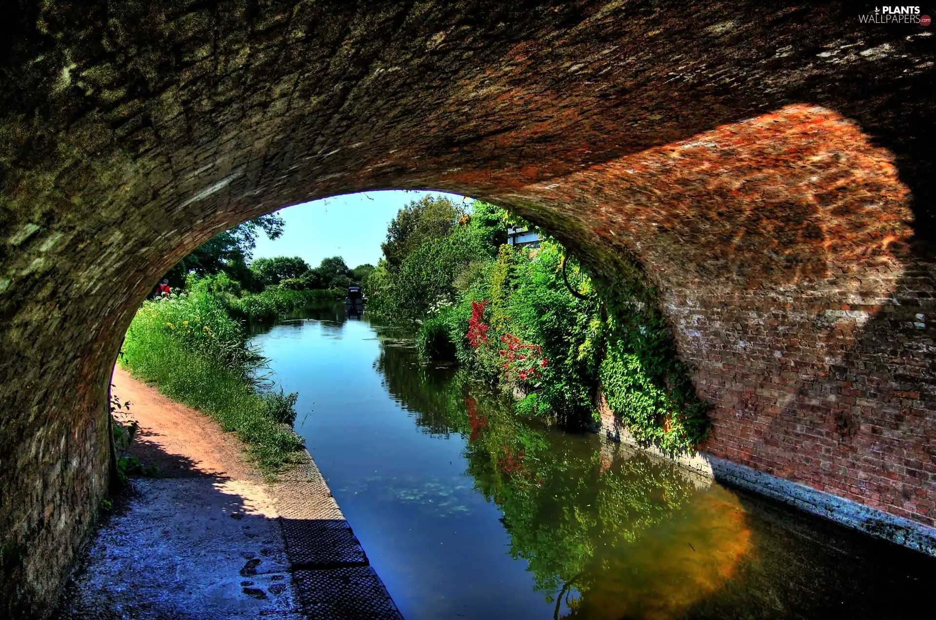 VEGETATION, ligh, shadow, sun, luminosity, River, bridge, flash
