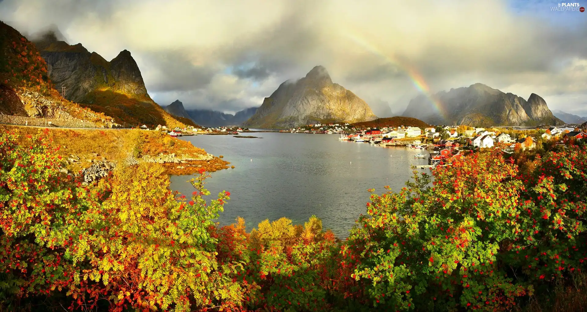 flourishing, Bush, lake, Great Rainbows, Mountains