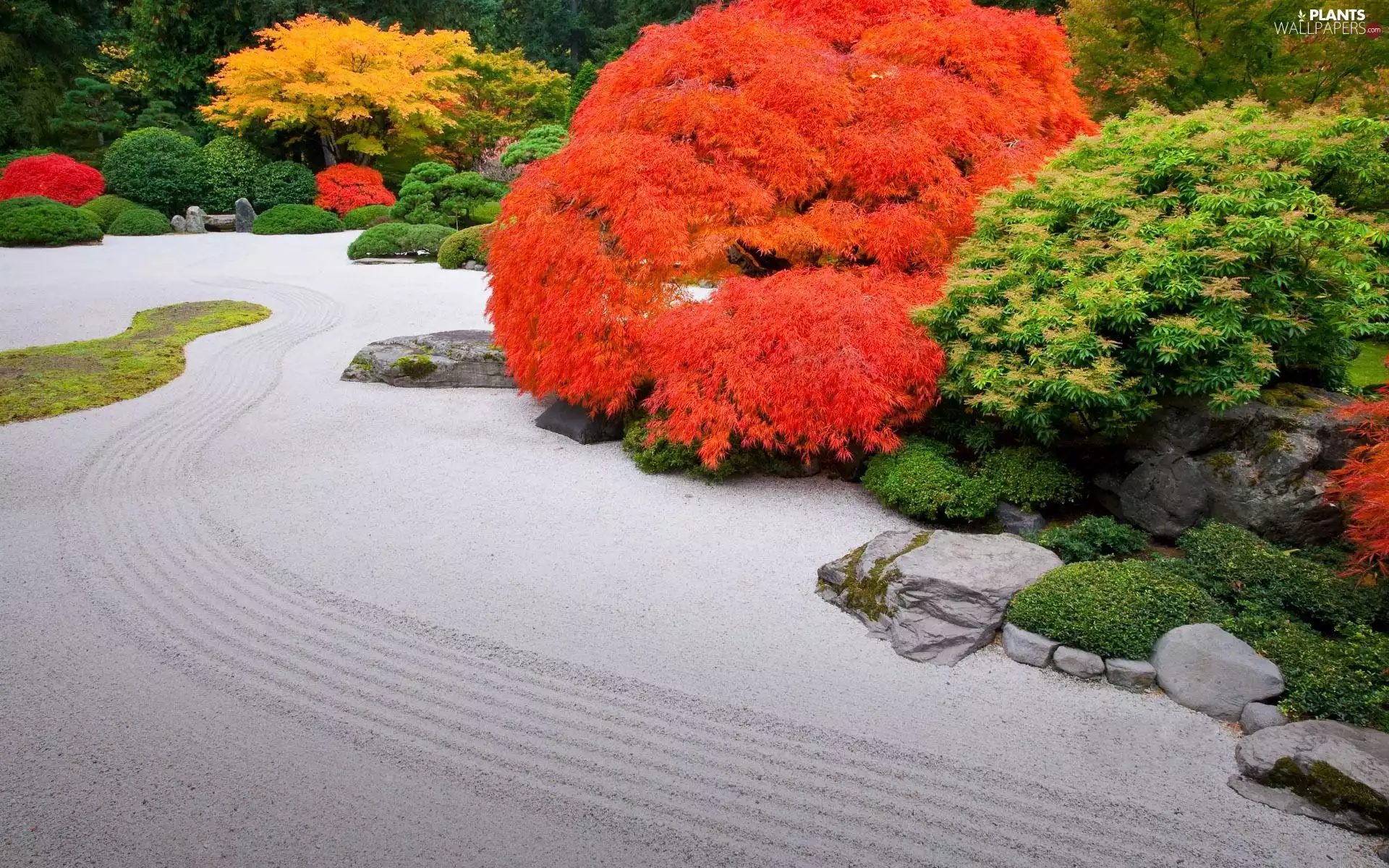 viewes, Park, Sand, Flower-beds, Stones, trees