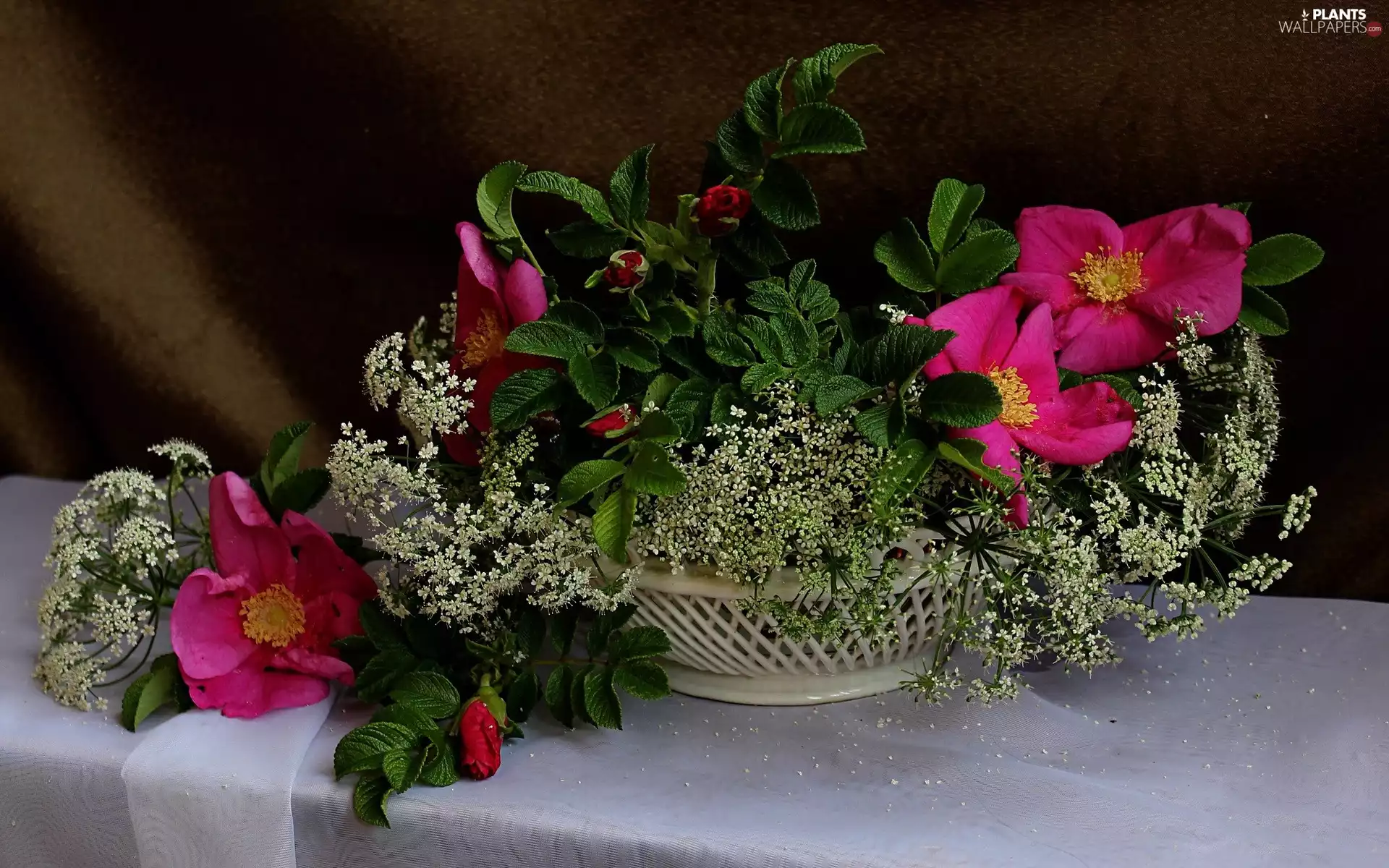 decoration, Briar, basket, Flowers