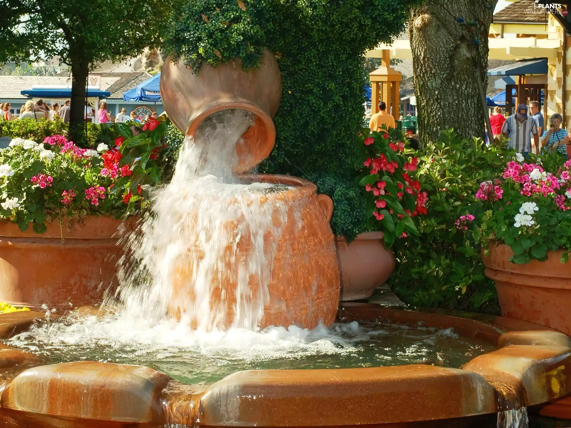 fountain, trees, viewes, Flowers