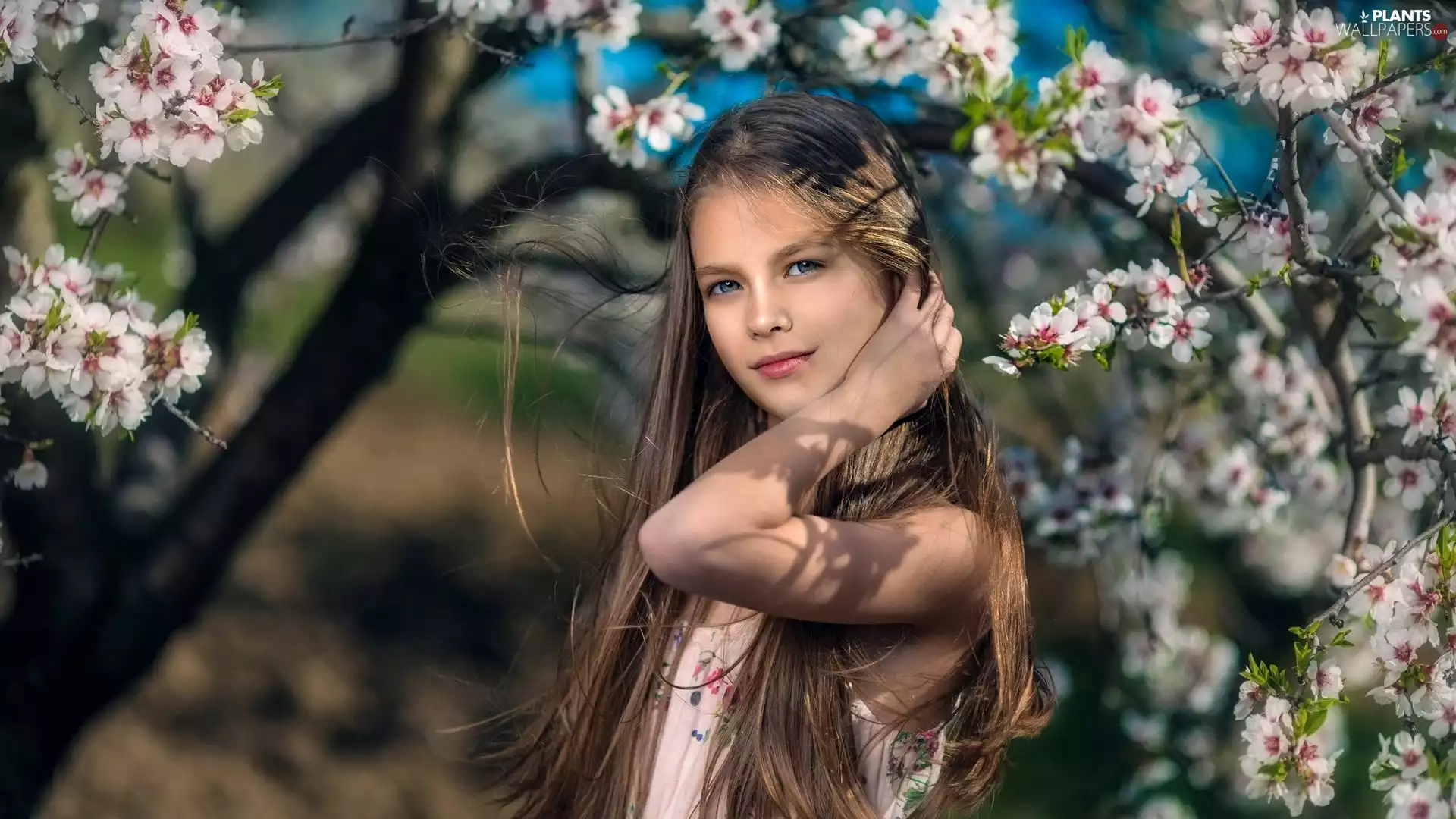 girl, trees, fruit, Flowers