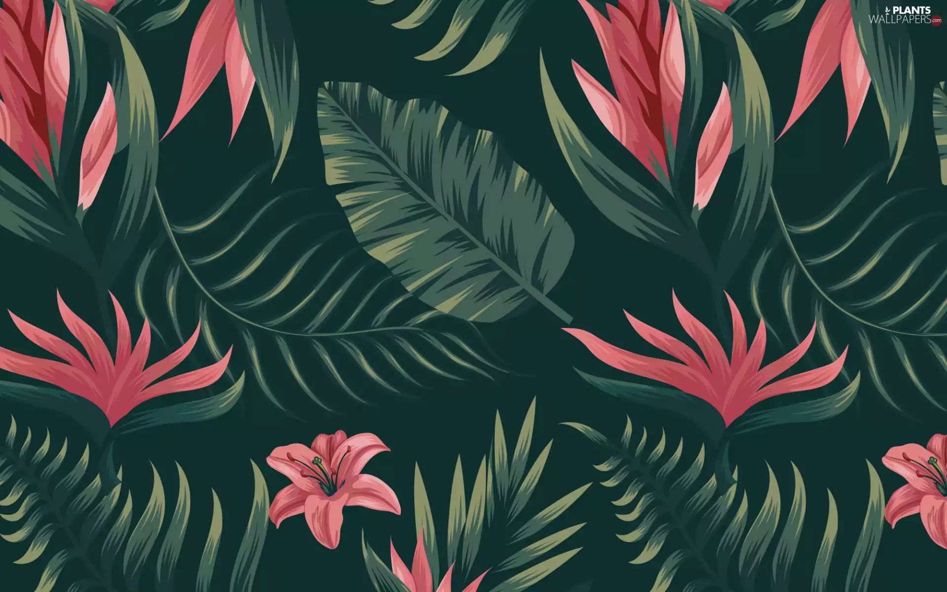 texture, Flowers, Green Background, Leaf