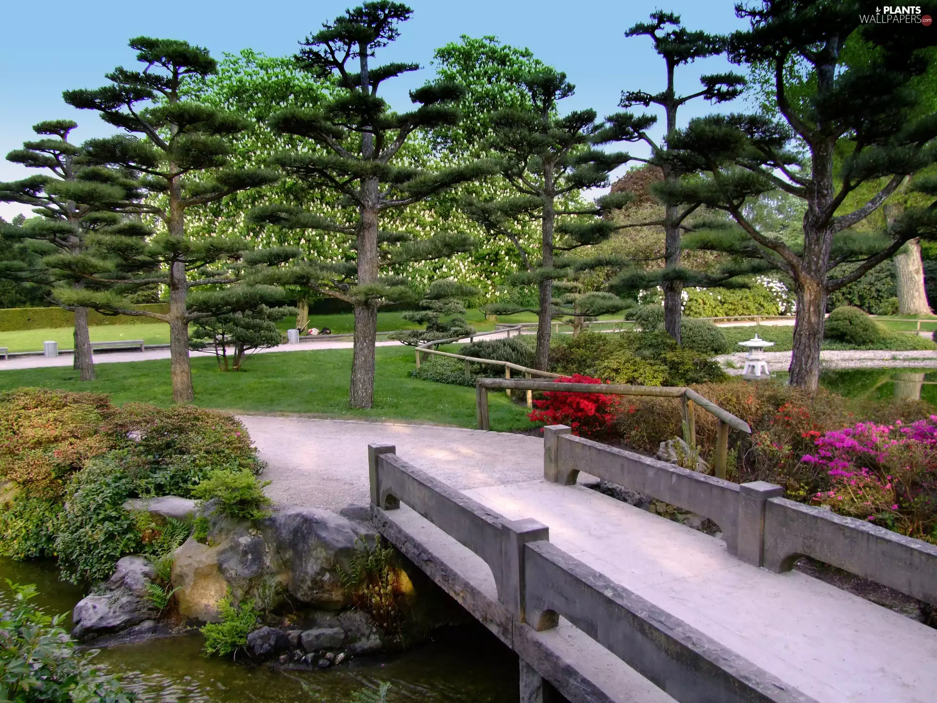 bridges, Park, viewes, Flowers, trees, Path