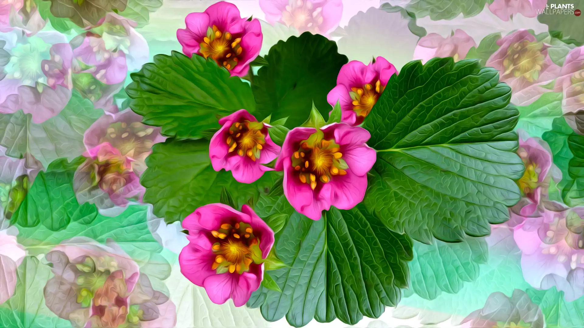 Pink, Leaf, graphics, Flowers