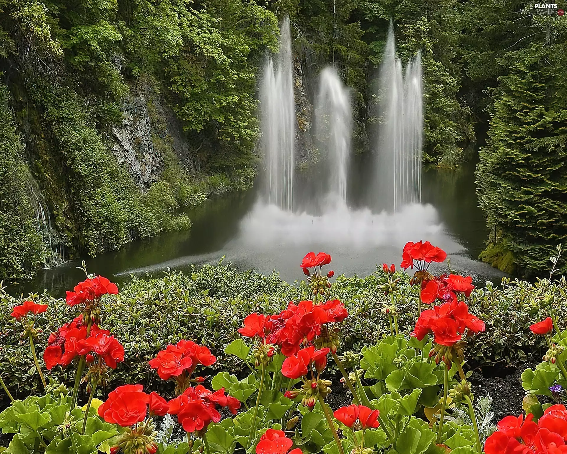 Red, waterfall, forest, Flowers