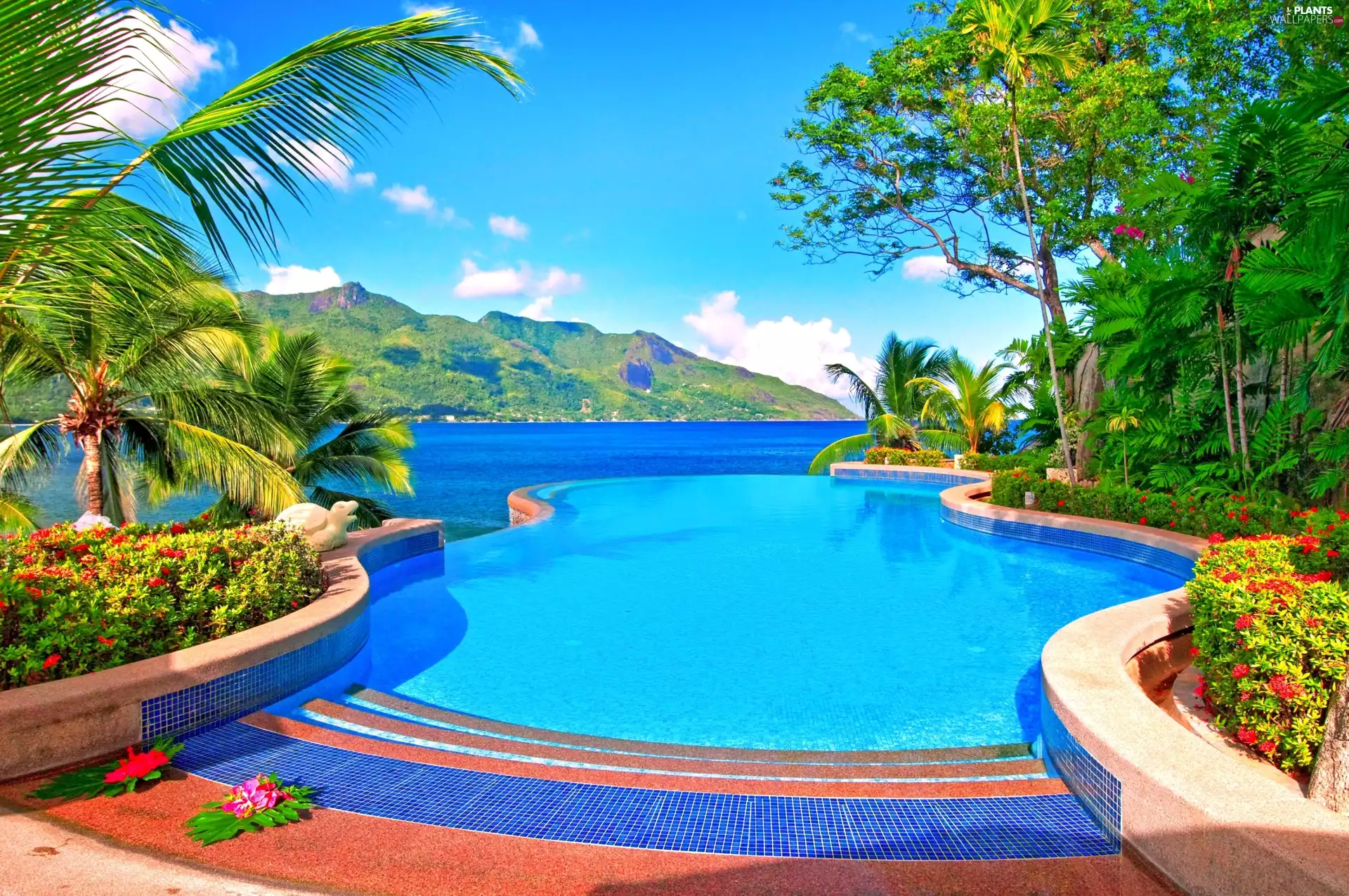 Pool, Mountains, viewes, Flowers, trees, sea