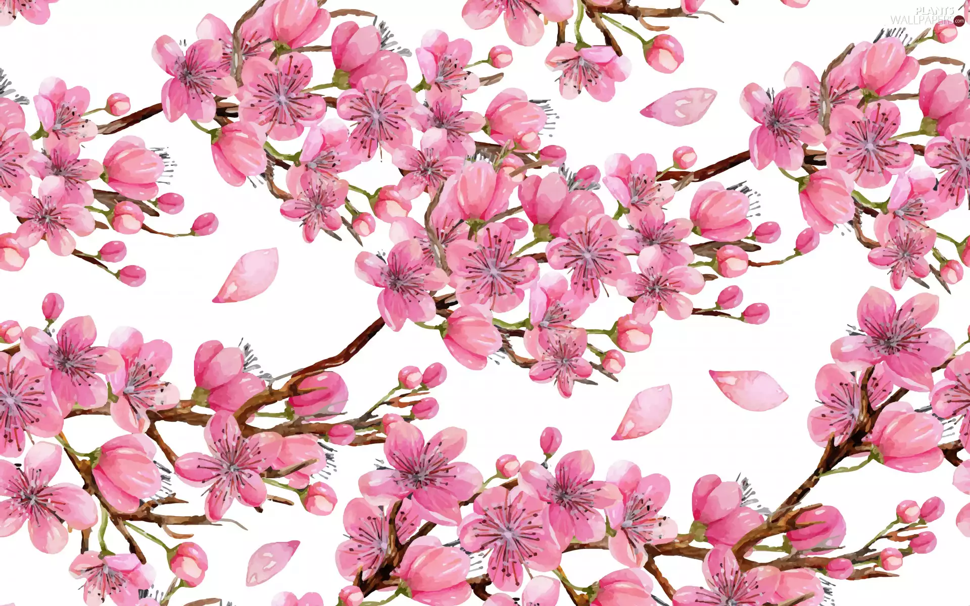 Twigs, 2D, Pink, Flowers, Fruit Tree