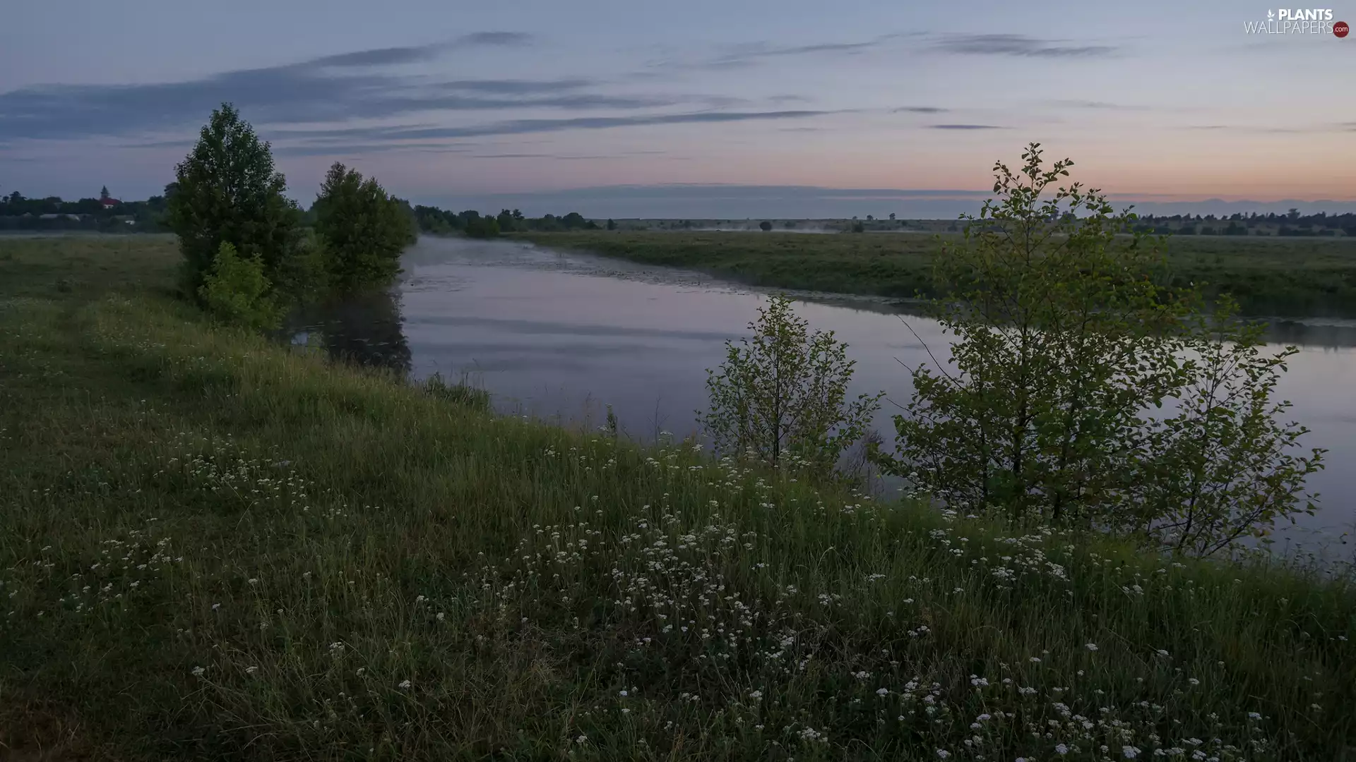 Meadow, Flowers, trees, viewes, River
