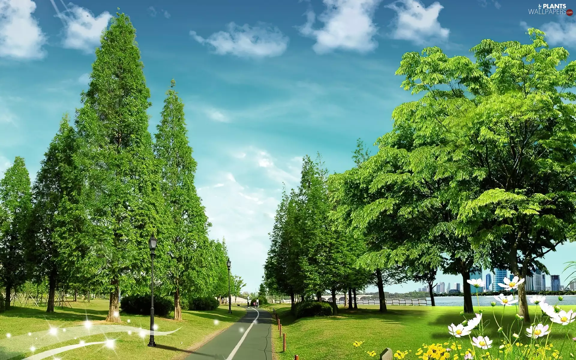 grass, Flowers, trees, viewes, Way