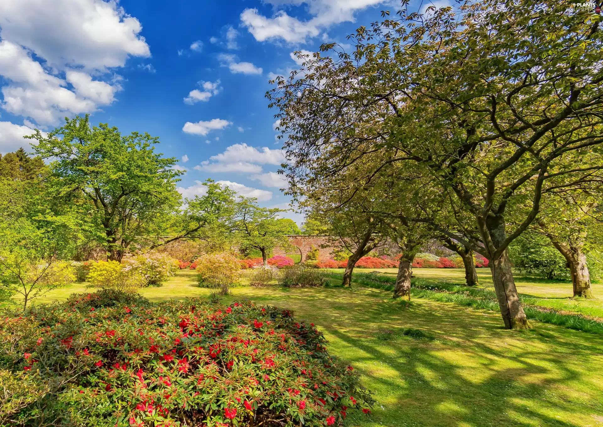 summer, Girvan, viewes, Bargany Gardens, Scotland, trees, Flowers