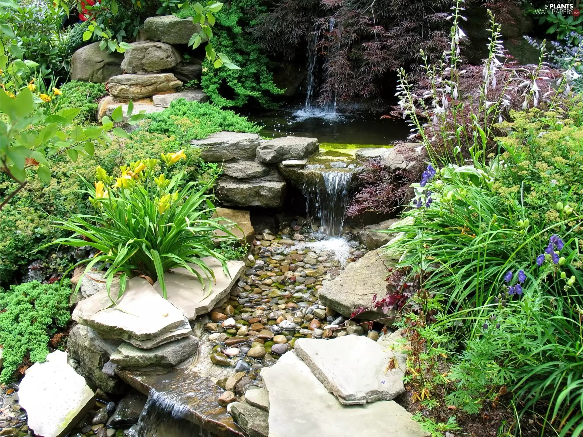 waterfall, Bush, Stones, Flowers