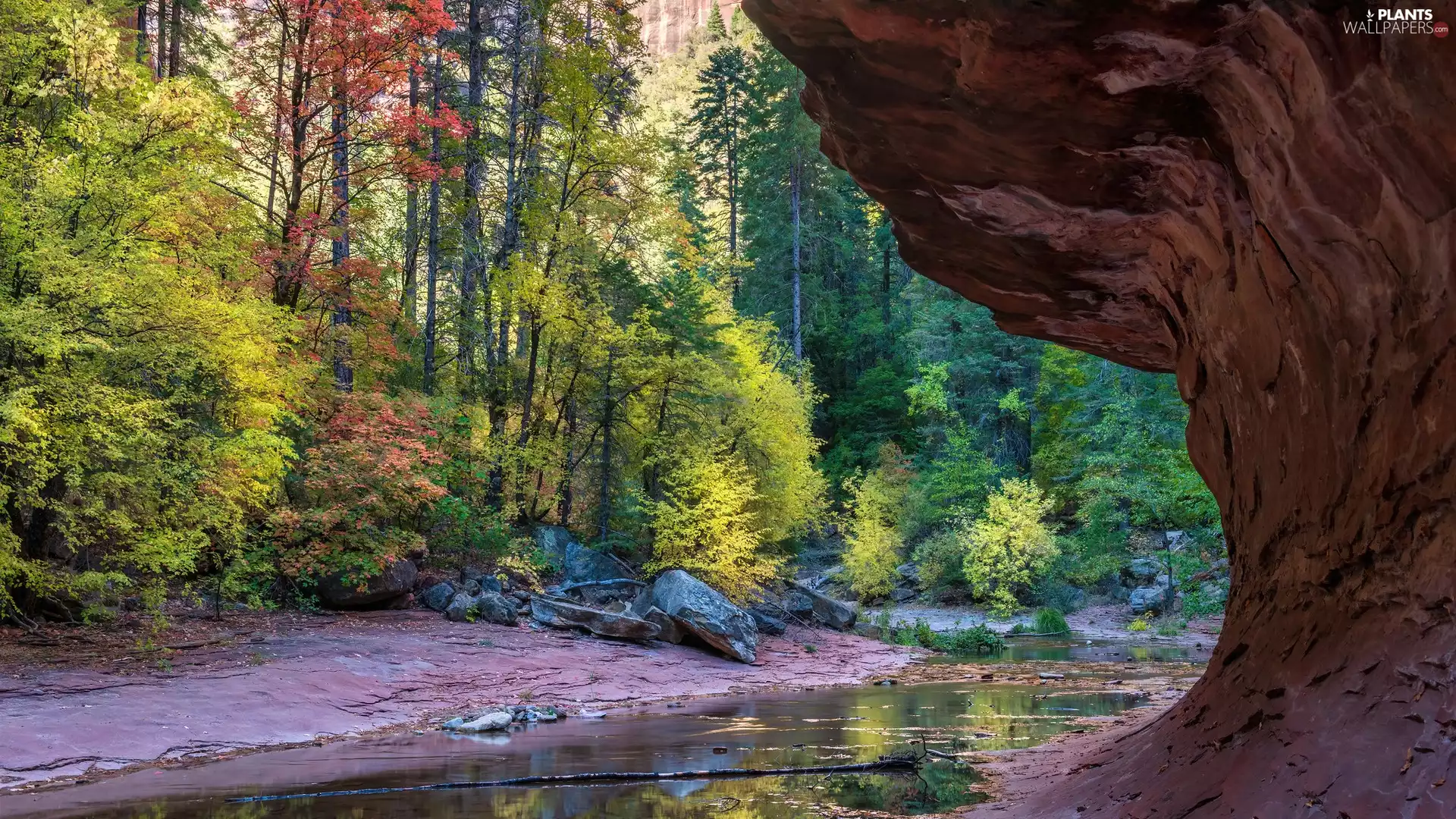 color, autumn, viewes, flux, trees, rocks