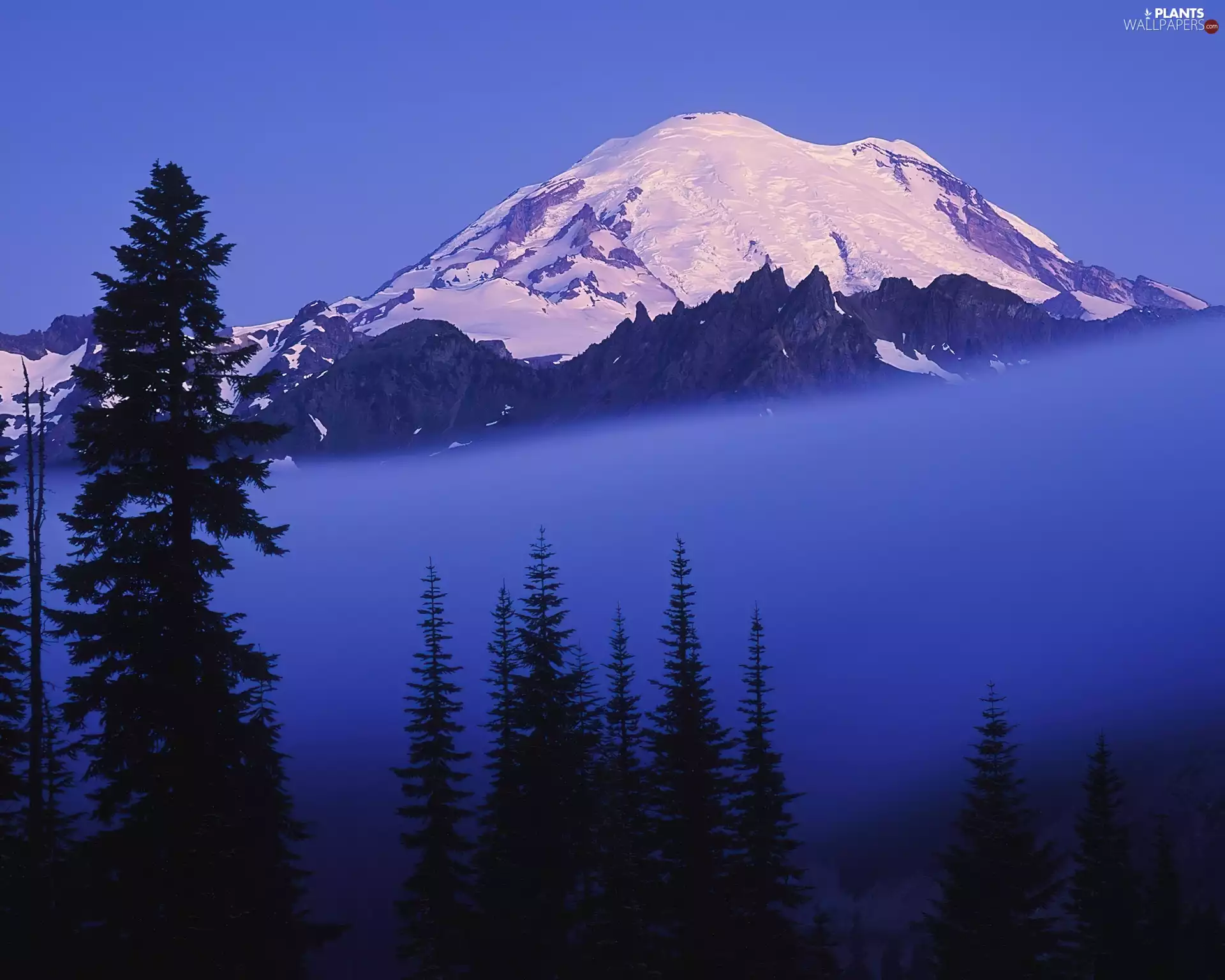 Evening, mount, Mountains, Fog