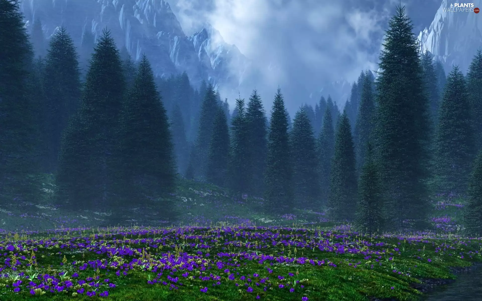 Mountains, purple, viewes, Fog, trees, Flowers