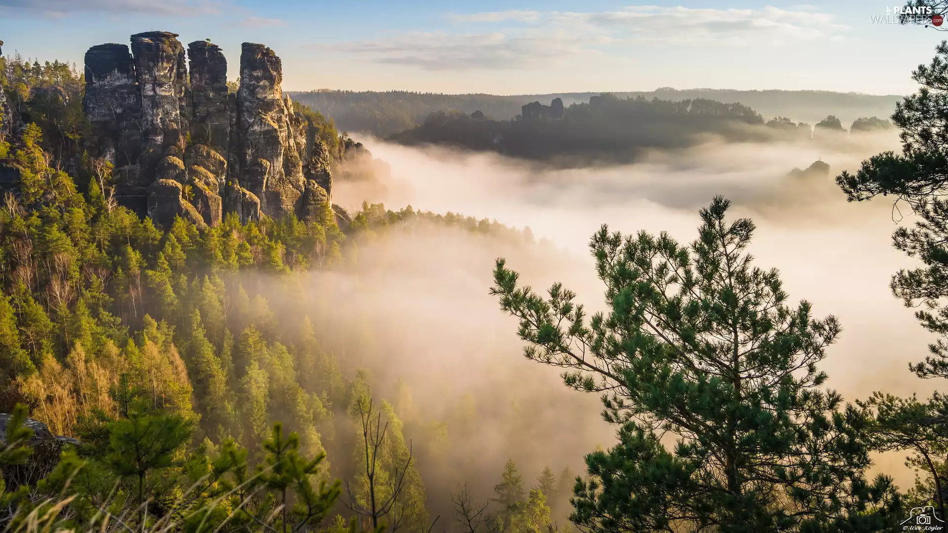 trees, viewes, Germany, forest, Saxon Switzerland National Park, rocks, Fog, Děčínská vrchovina