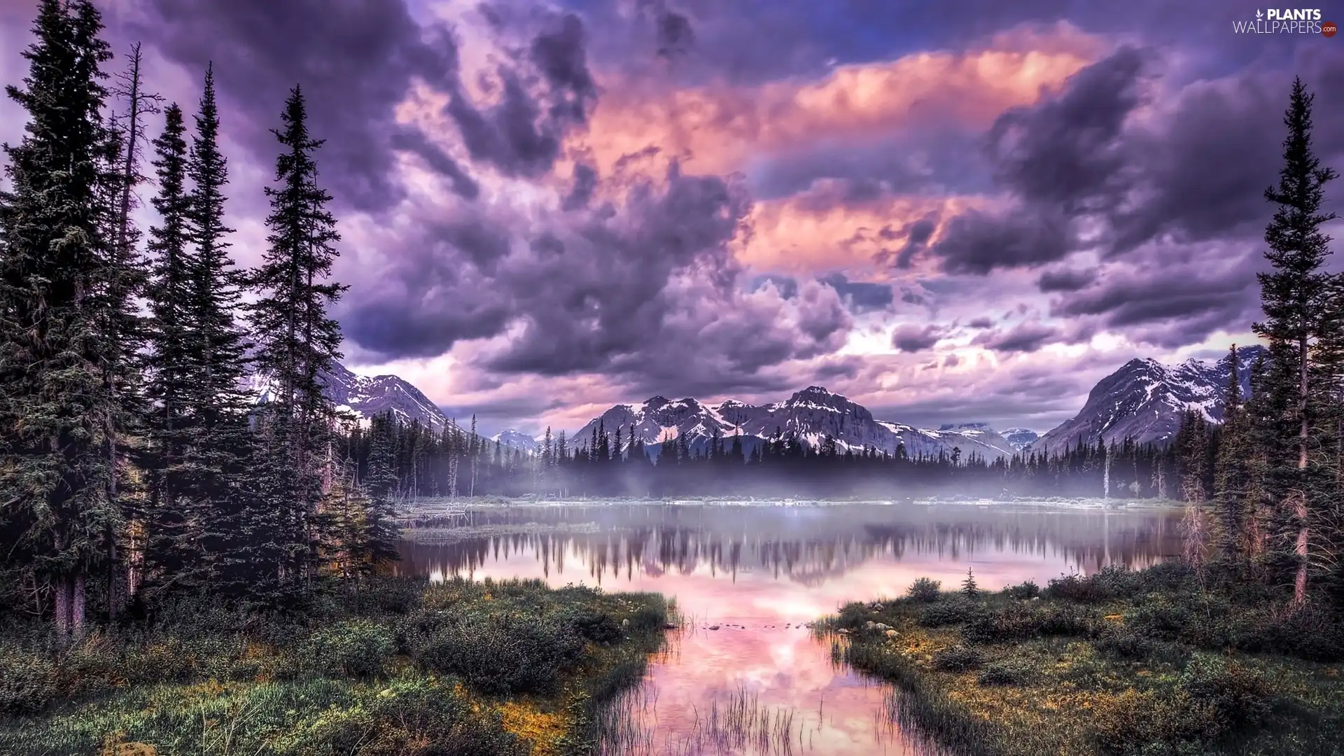 trees, Mountains, clouds, Fog, viewes, lake