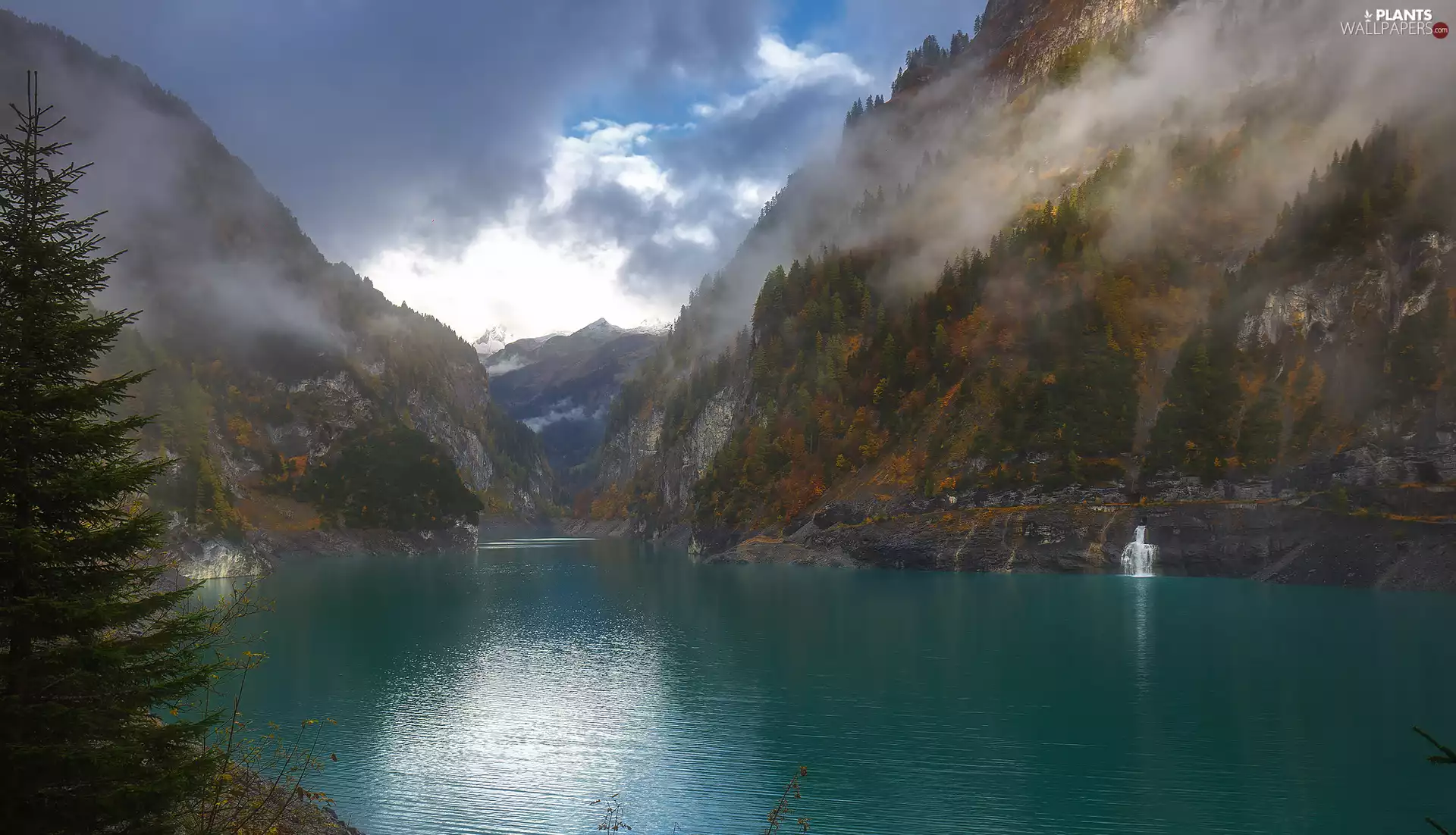 viewes, Fog, lake, trees, Mountains