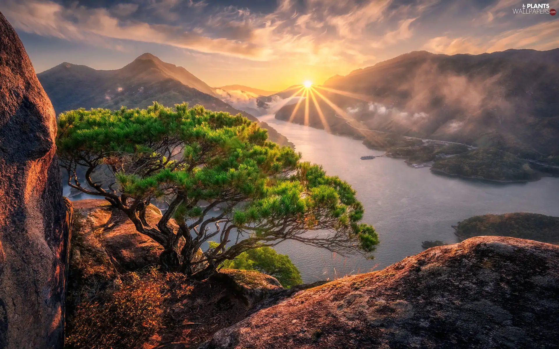 Sunrise, Mountains, pine, Fog, rocks, lake