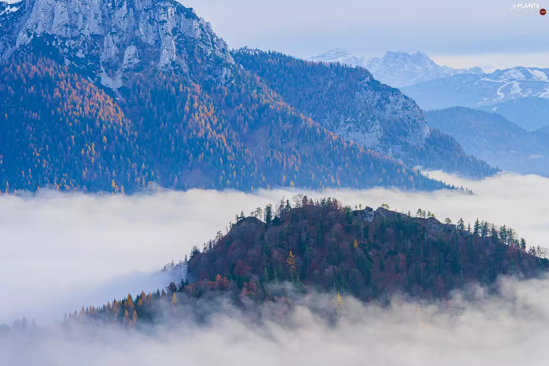 viewes, Fog, Mountains, trees, clouds