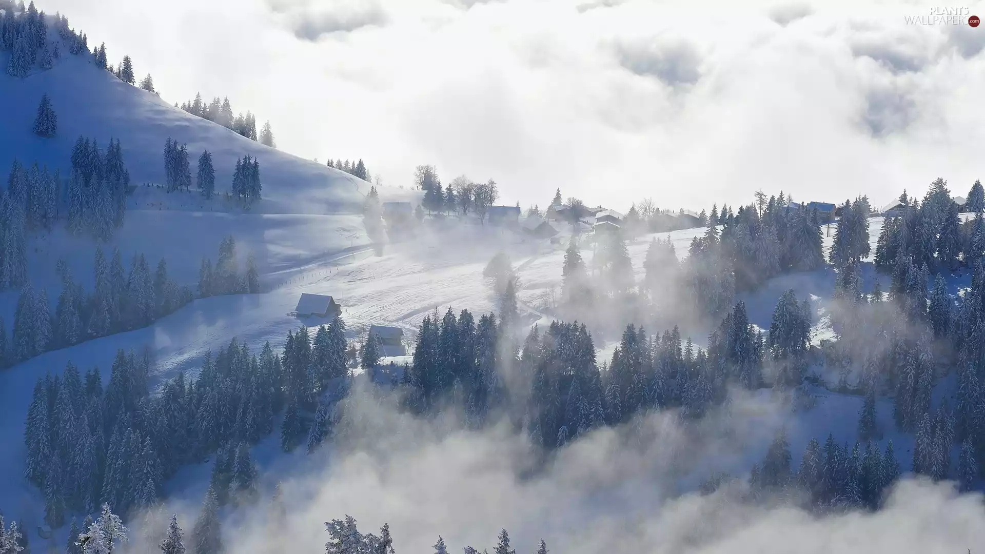 trees, winter, Houses, Fog, viewes, Mountains