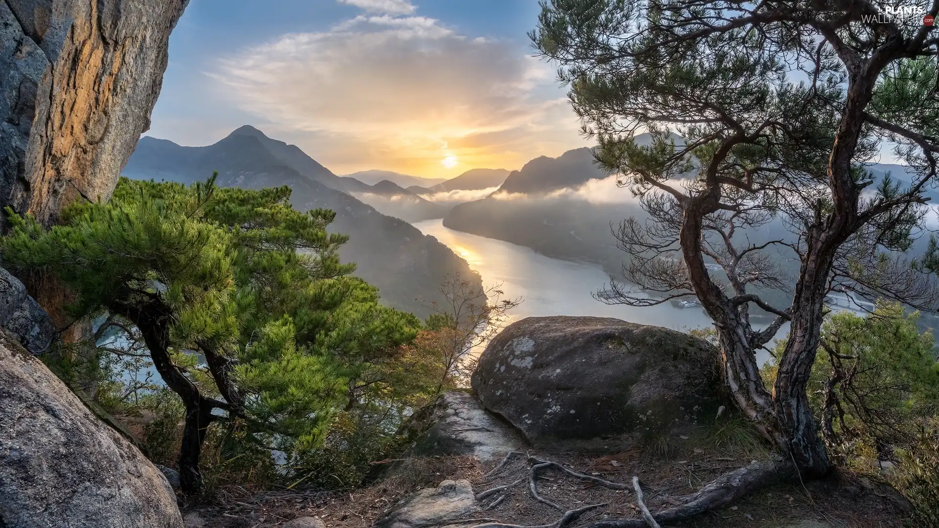 rocks, Sunrise, pine, Fog, River, Mountains