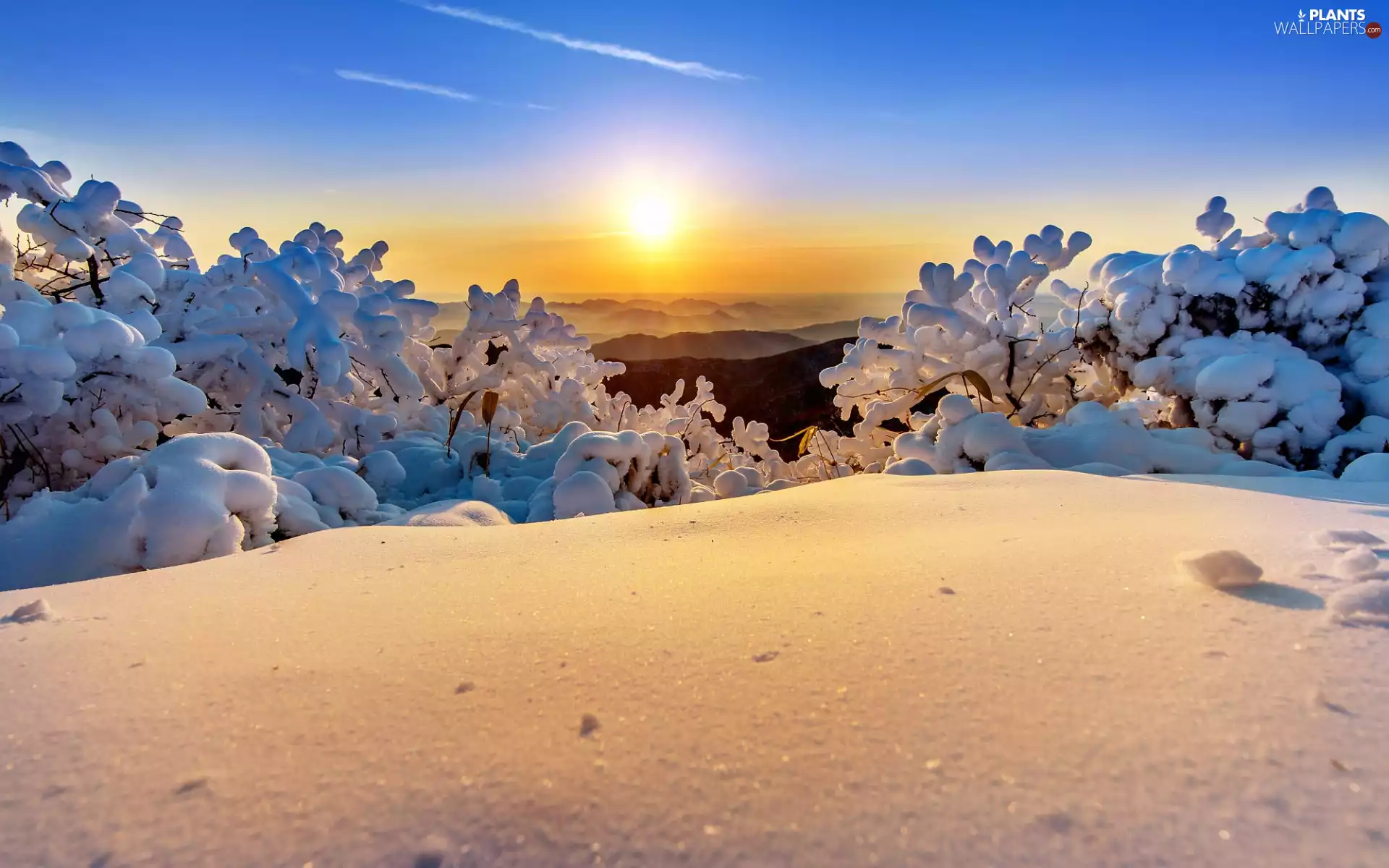 Sky, snow, Mountains, Bush, winter, Great Sunsets, Fog