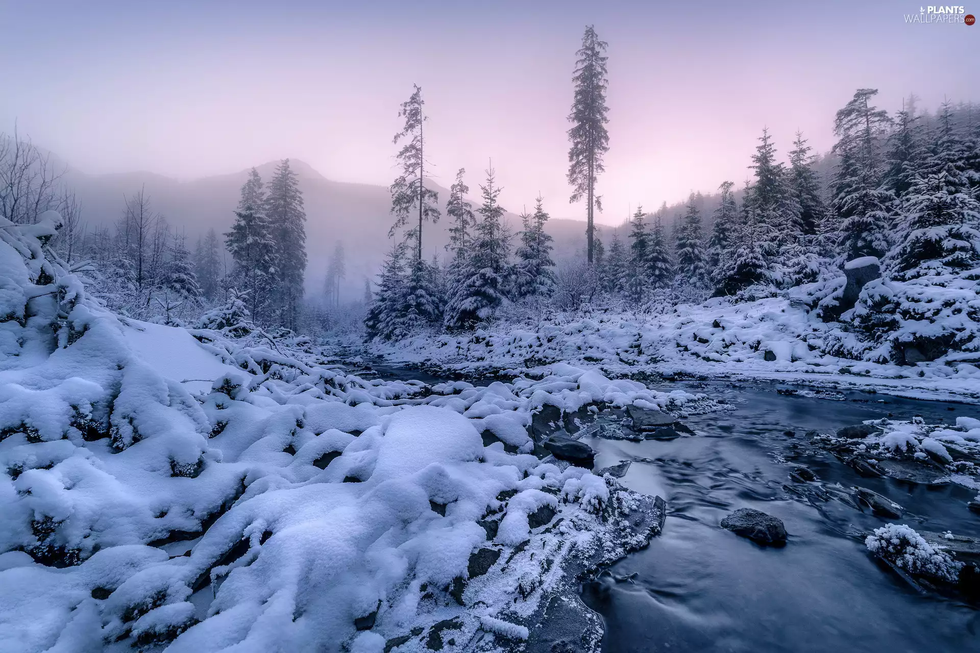 River, winter, viewes, Fog, trees, Mountains