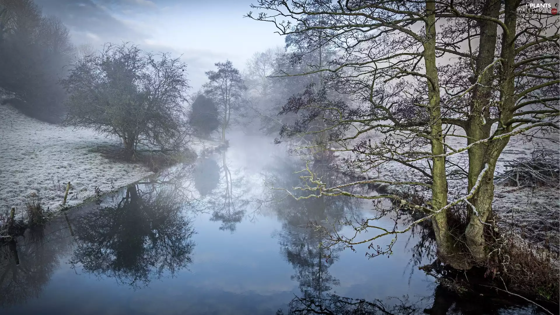 trees, winter, reflection, Fog, viewes, River