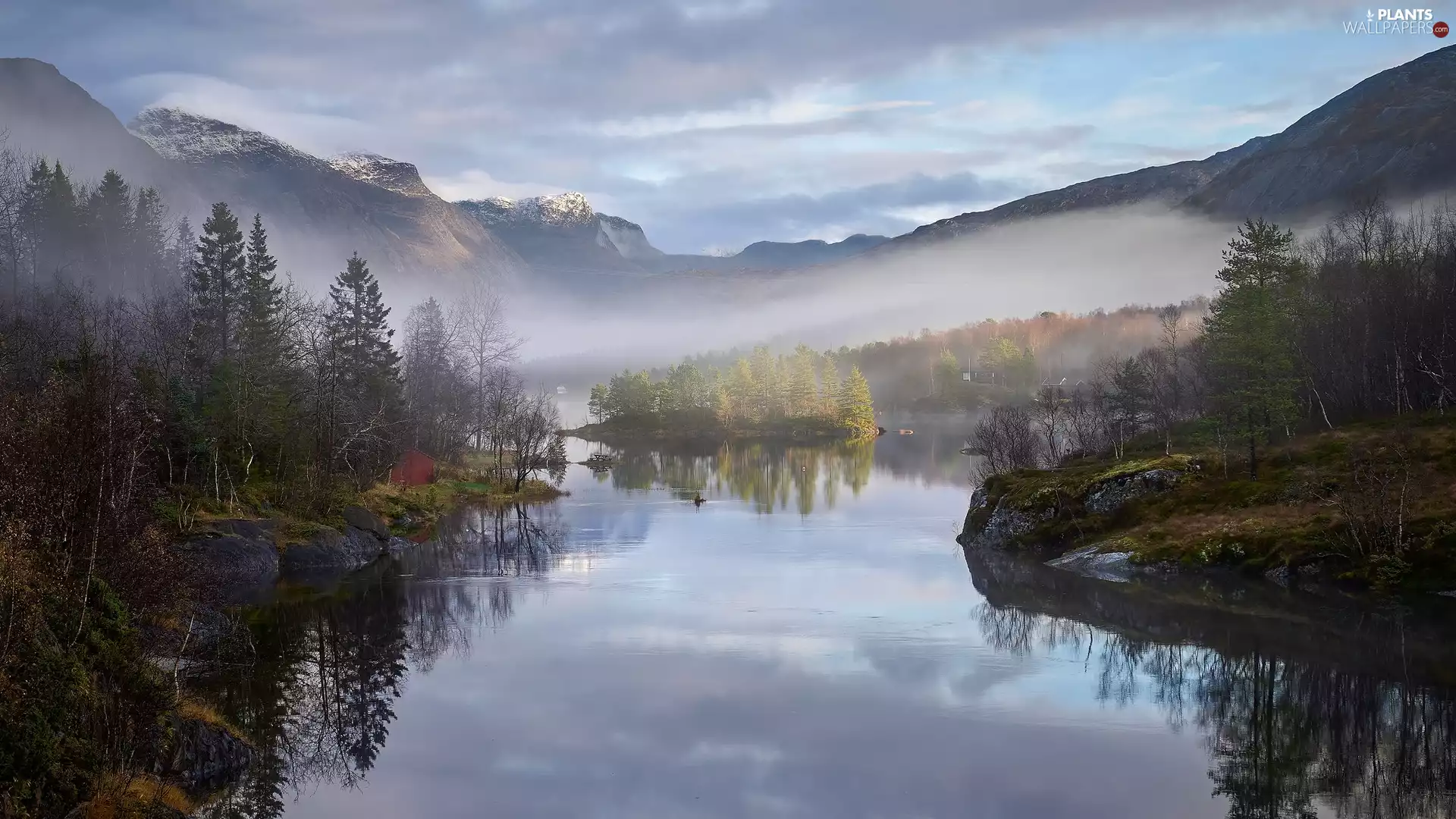 rocks, Mountains, viewes, Fog, trees, River